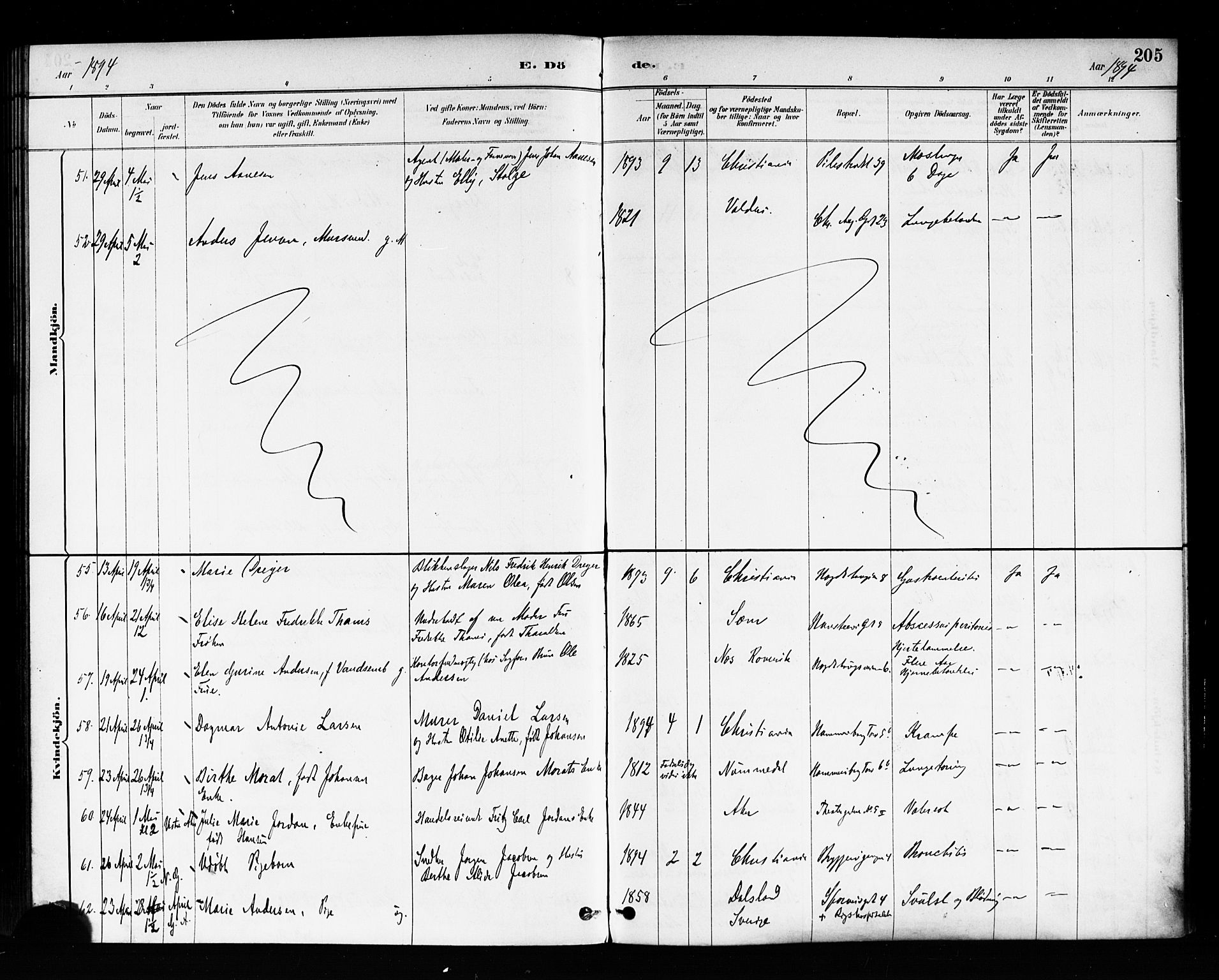 Trefoldighet prestekontor Kirkebøker, SAO/A-10882/F/Fd/L0003: Ministerialbok nr. IV 3, 1885-1896, s. 205