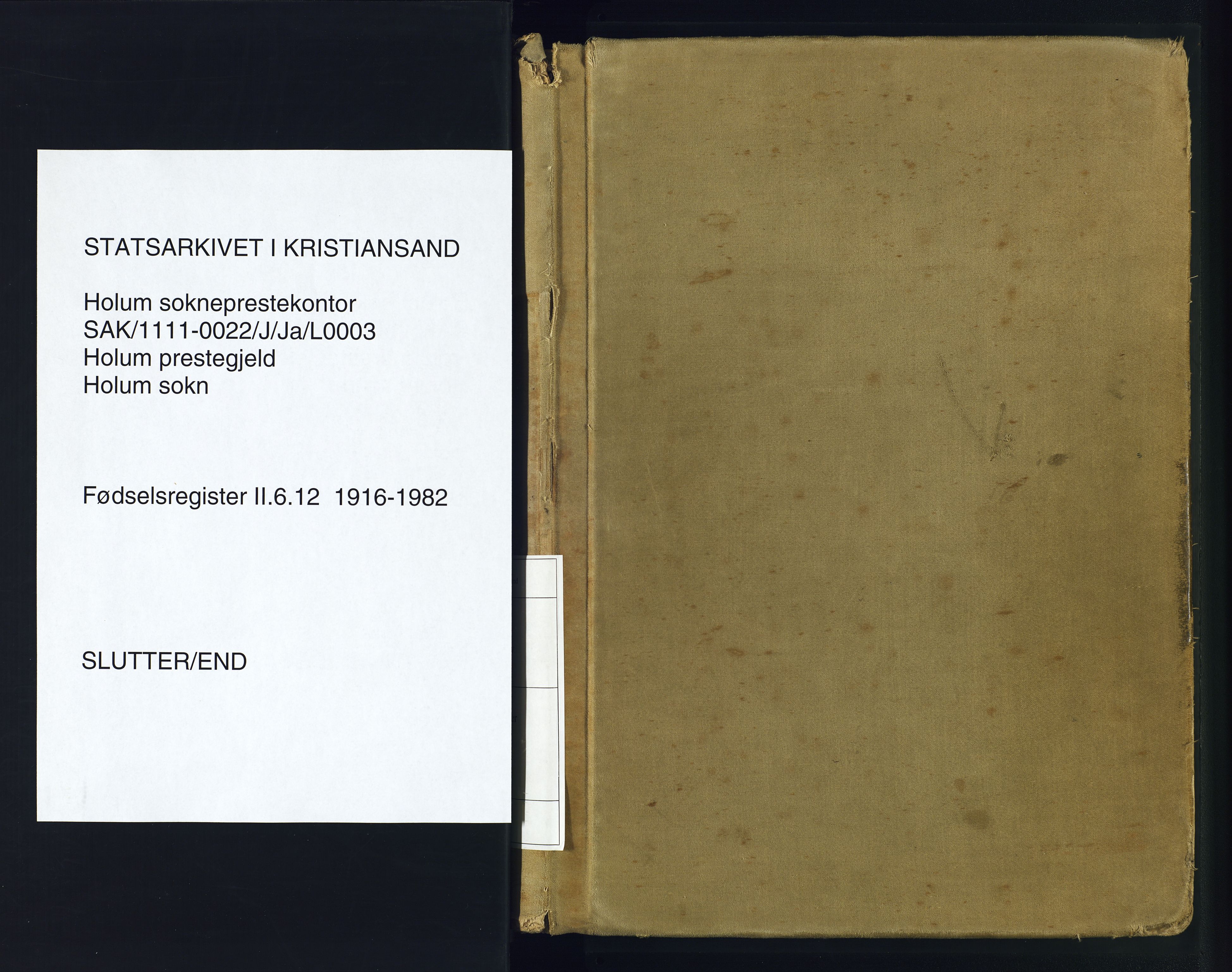 Holum sokneprestkontor, SAK/1111-0022/J/Ja/L0003: Fødselsregister nr. II.6.12, 1916-1982