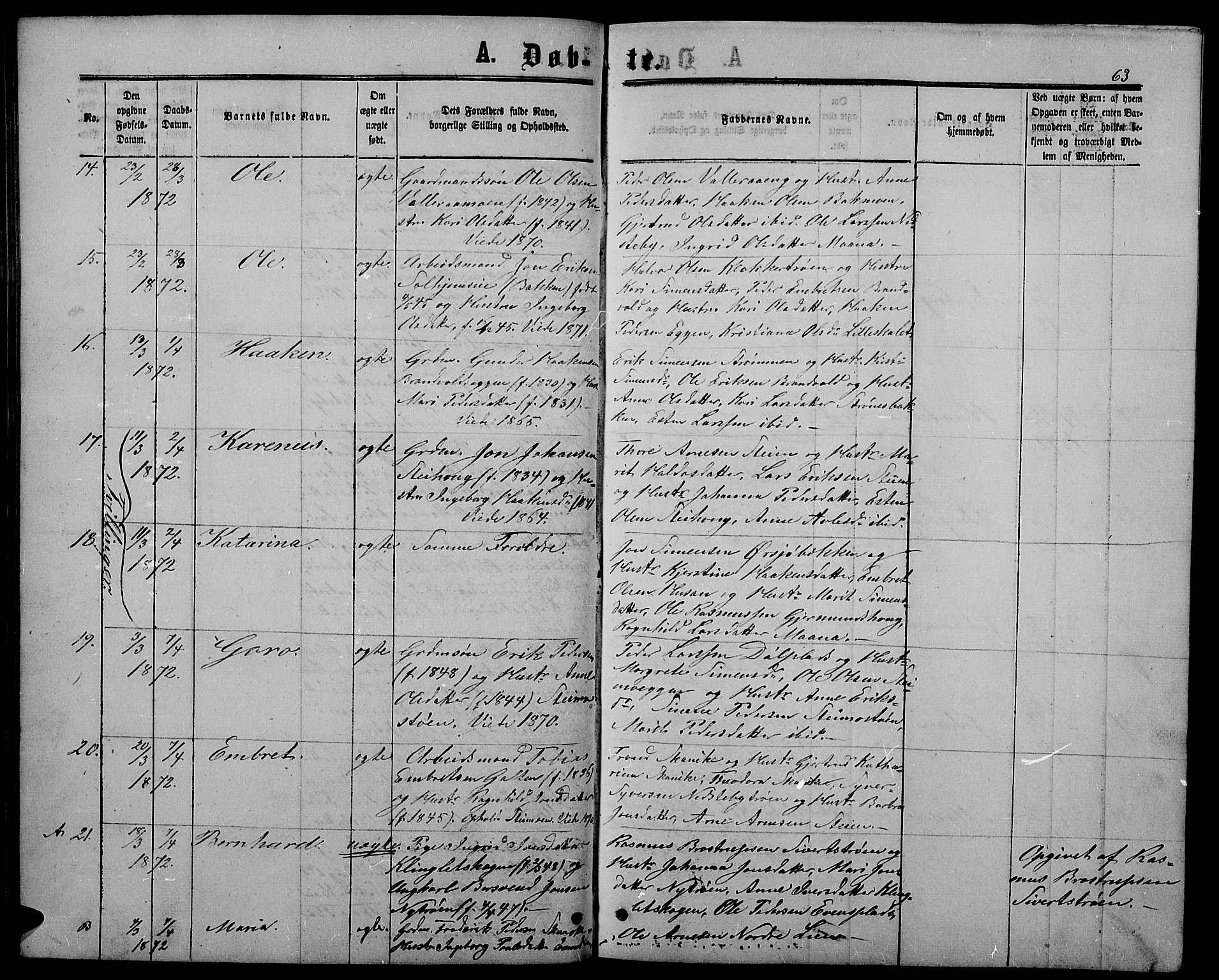 Alvdal prestekontor, AV/SAH-PREST-060/H/Ha/Hab/L0002: Klokkerbok nr. 2, 1863-1878, s. 63