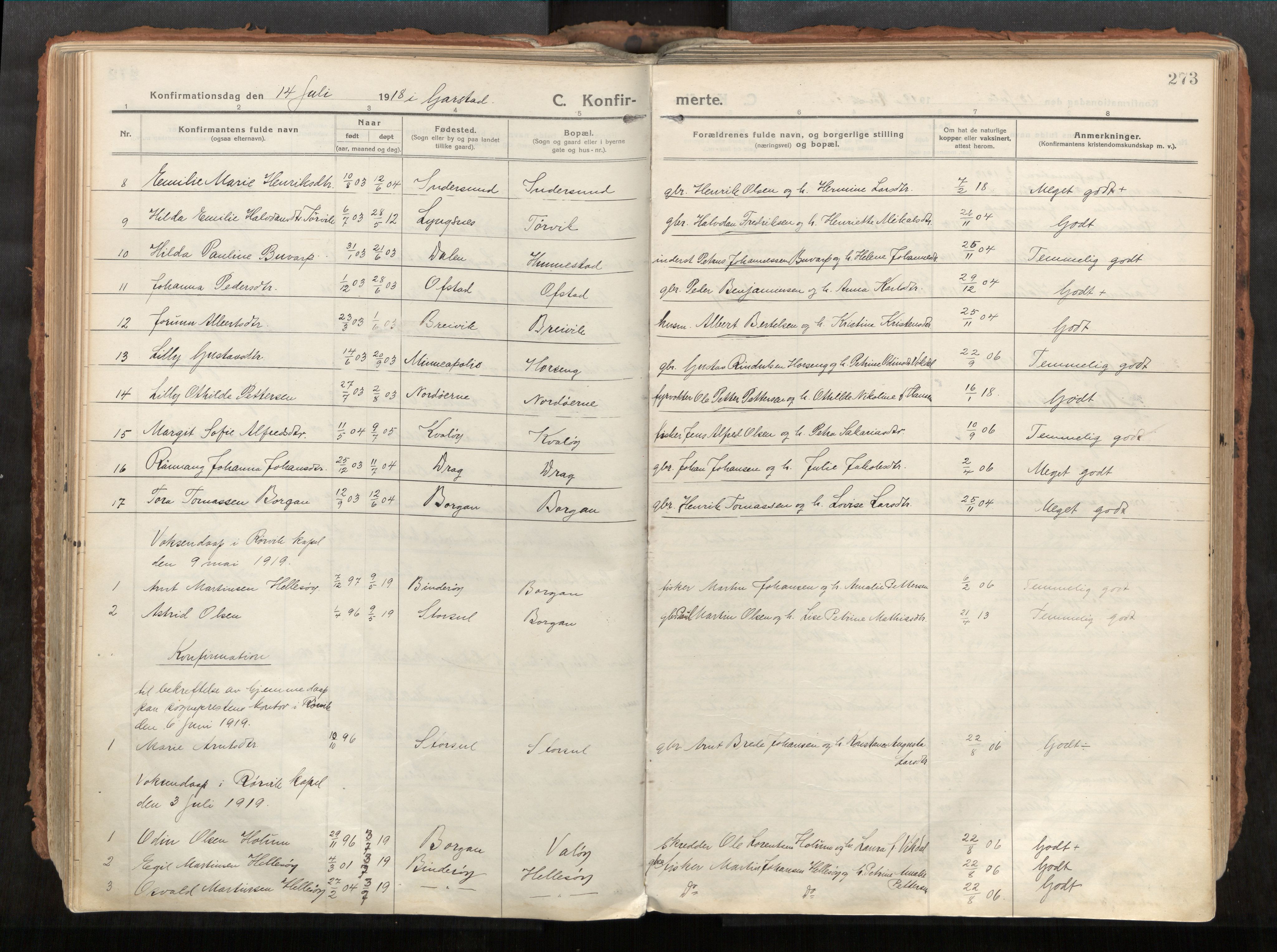 Vikna sokneprestkontor, AV/SAT-A-1173/1/I/I1/I1a/L0001: Ministerialbok nr. 1, 1913-1934, s. 273