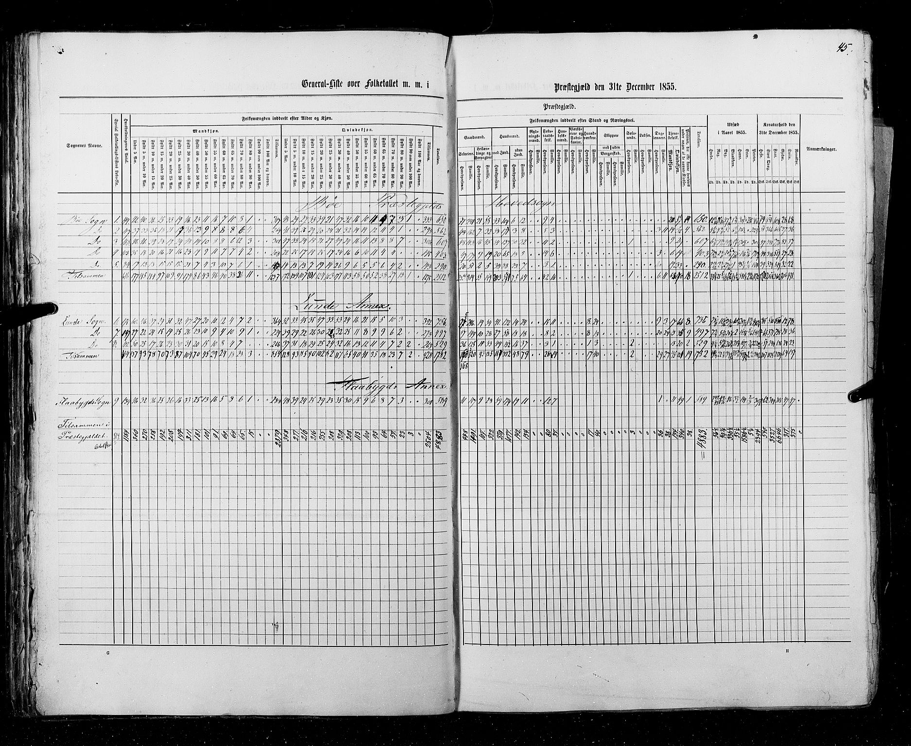 RA, Folketellingen 1855, bind 3: Bratsberg amt, Nedenes amt og Lister og Mandal amt, 1855, s. 45