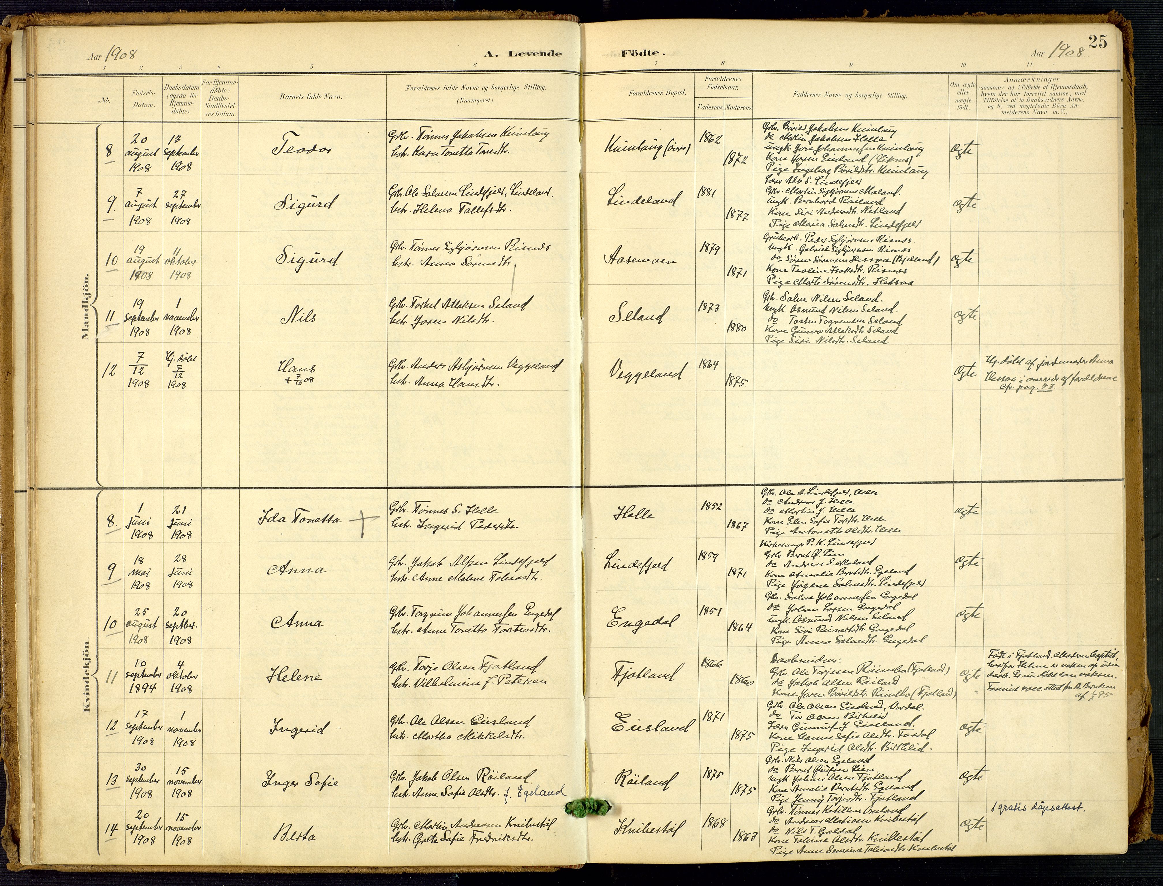 Fjotland sokneprestkontor, AV/SAK-1111-0010/F/Fa/L0003: Ministerialbok nr. A 3, 1899-1917, s. 25