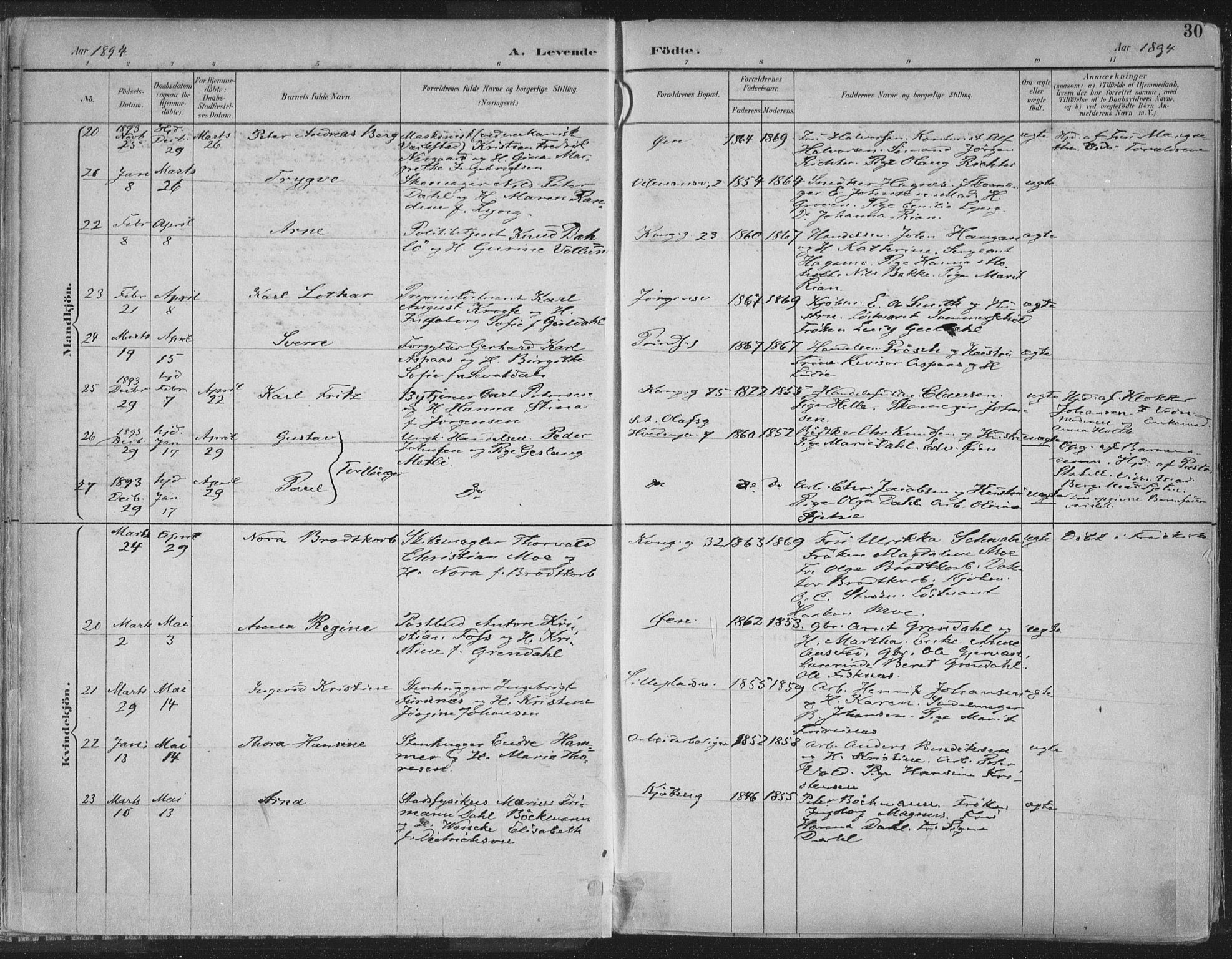 Ministerialprotokoller, klokkerbøker og fødselsregistre - Sør-Trøndelag, AV/SAT-A-1456/601/L0062: Ministerialbok nr. 601A30, 1891-1911, s. 30