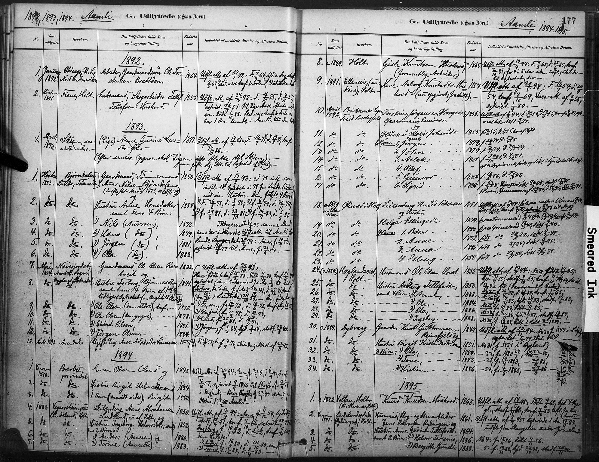 Åmli sokneprestkontor, AV/SAK-1111-0050/F/Fa/Fac/L0010: Ministerialbok nr. A 10 /1, 1885-1899, s. 177