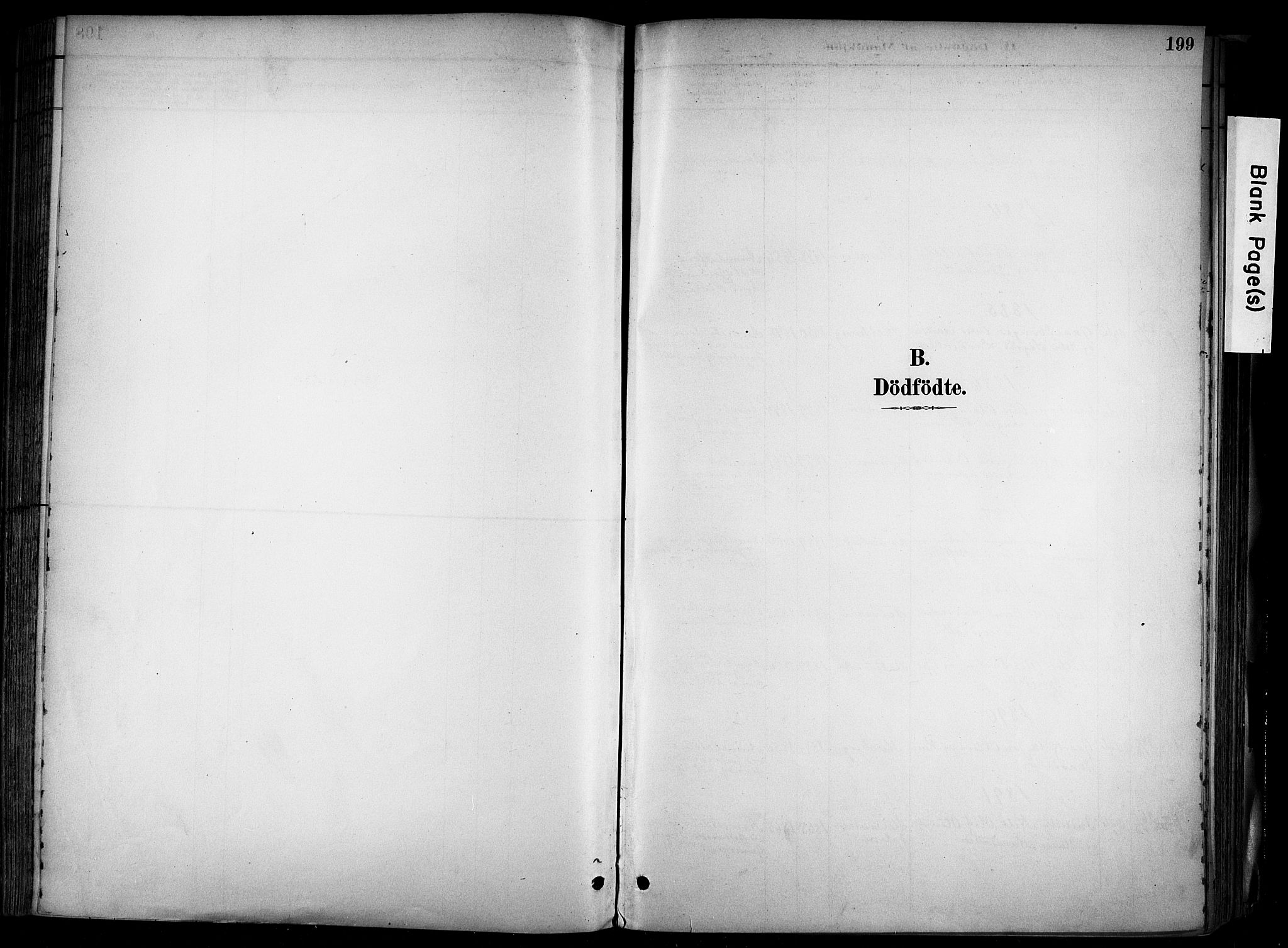 Alvdal prestekontor, SAH/PREST-060/H/Ha/Haa/L0002: Ministerialbok nr. 2, 1883-1906, s. 199