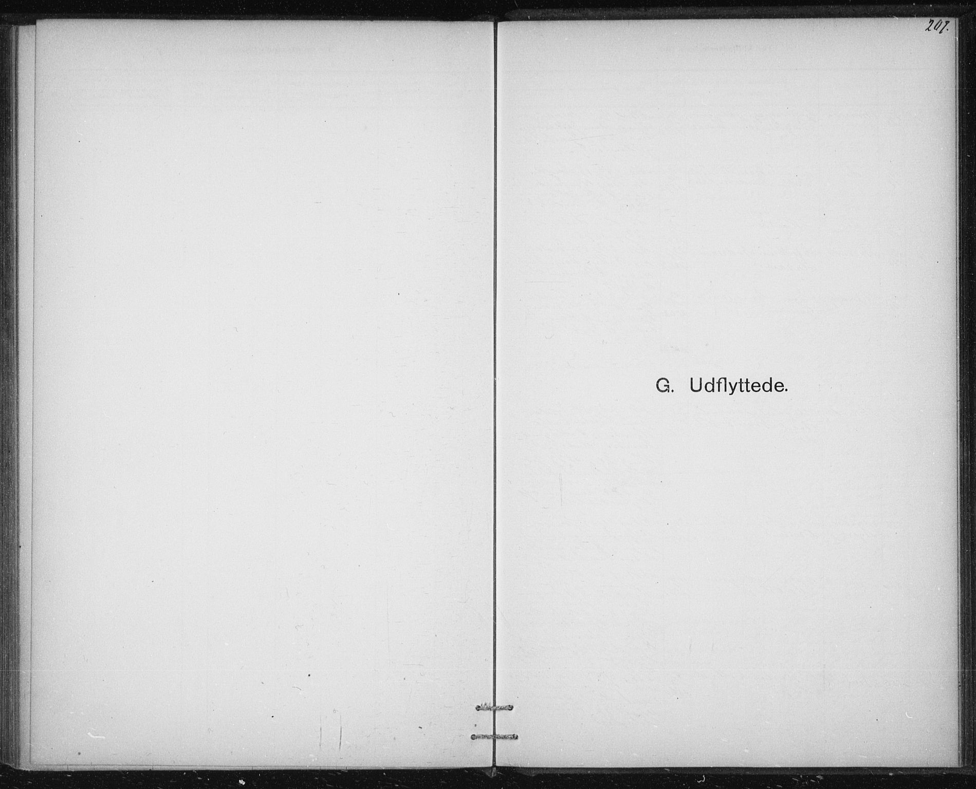 Ministerialprotokoller, klokkerbøker og fødselsregistre - Sør-Trøndelag, AV/SAT-A-1456/613/L0392: Ministerialbok nr. 613A01, 1887-1906, s. 207