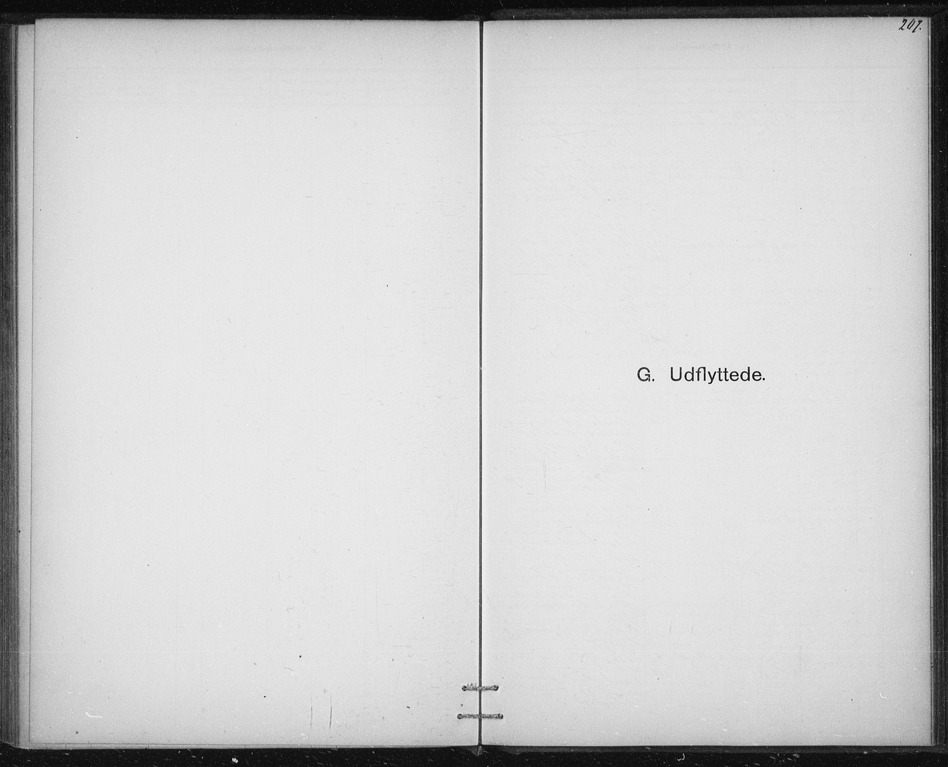 Ministerialprotokoller, klokkerbøker og fødselsregistre - Sør-Trøndelag, SAT/A-1456/613/L0392: Ministerialbok nr. 613A01, 1887-1906, s. 207