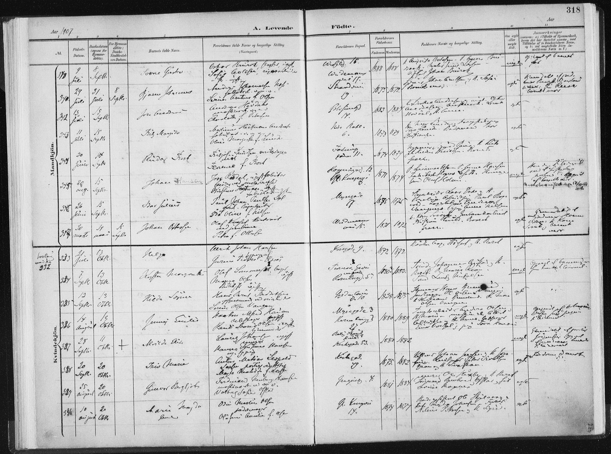 Ministerialprotokoller, klokkerbøker og fødselsregistre - Sør-Trøndelag, AV/SAT-A-1456/604/L0200: Ministerialbok nr. 604A20II, 1901-1908, s. 318
