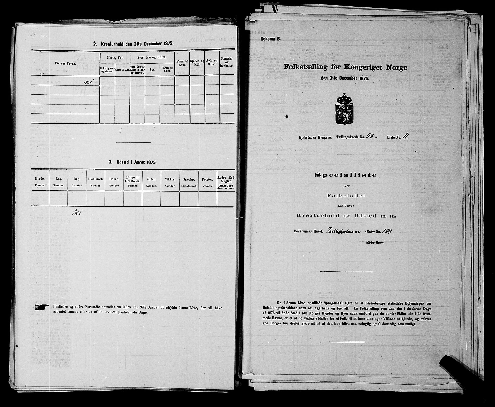 SAKO, Folketelling 1875 for 0801P Kragerø prestegjeld, 1875, s. 1307