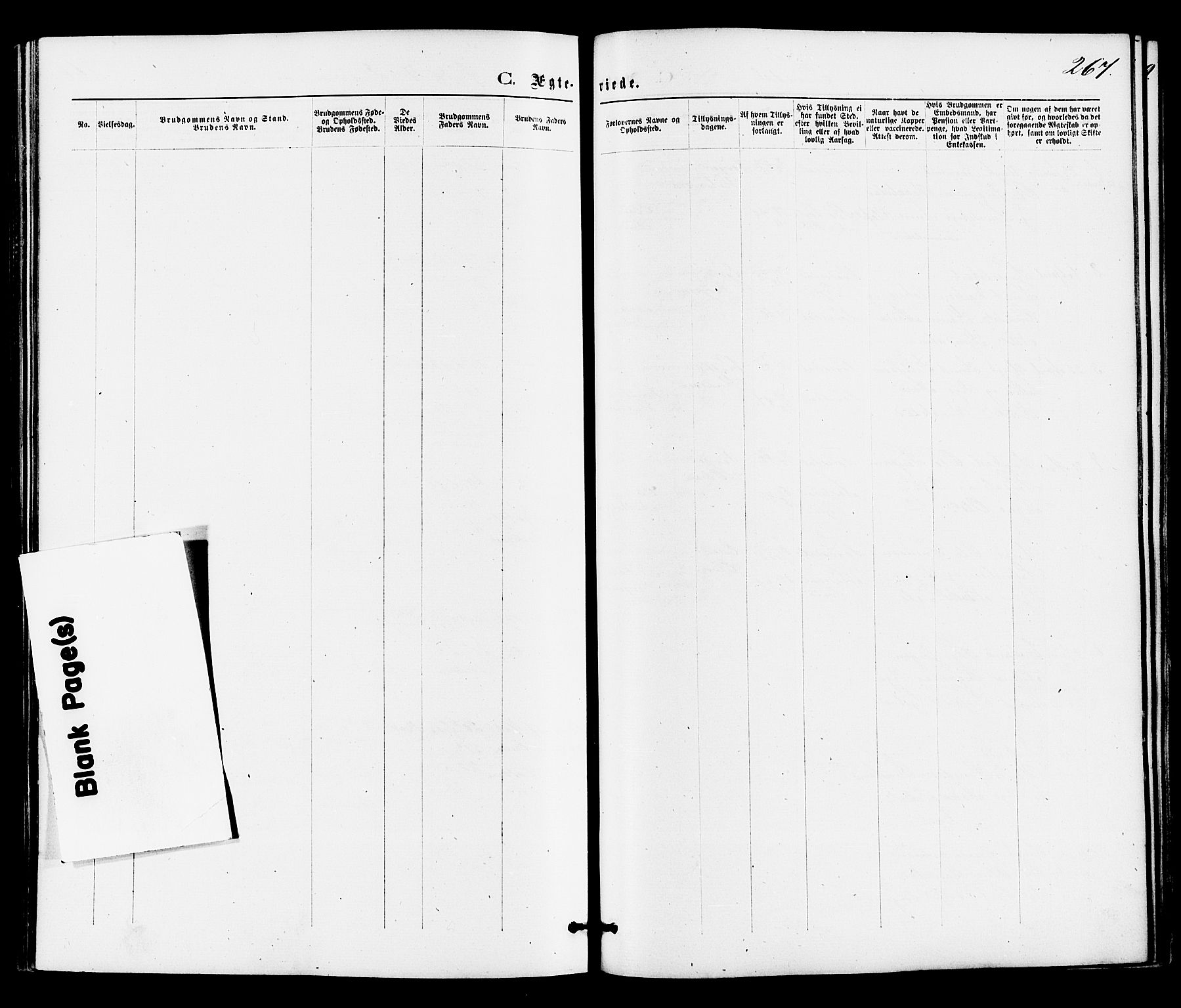 Drangedal kirkebøker, AV/SAKO-A-258/F/Fa/L0009: Ministerialbok nr. 9 /1, 1872-1884, s. 267