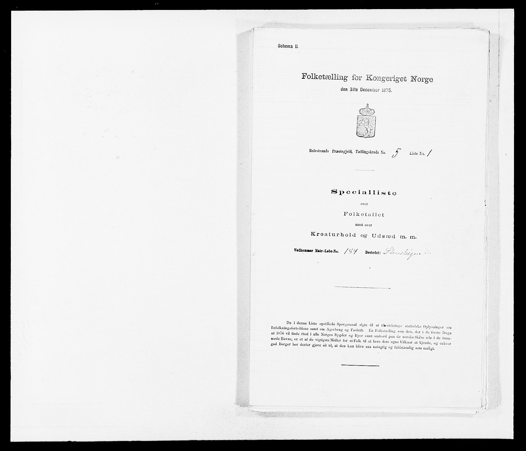 SAB, Folketelling 1875 for 1418P Balestrand prestegjeld, 1875, s. 602