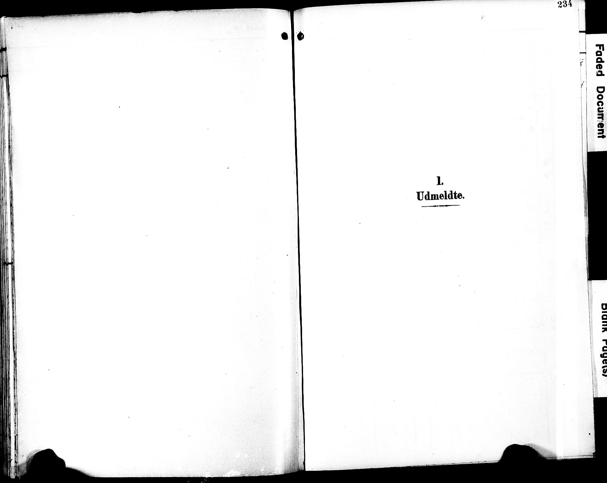 Ministerialprotokoller, klokkerbøker og fødselsregistre - Møre og Romsdal, AV/SAT-A-1454/501/L0018: Klokkerbok nr. 501C04, 1902-1930, s. 234