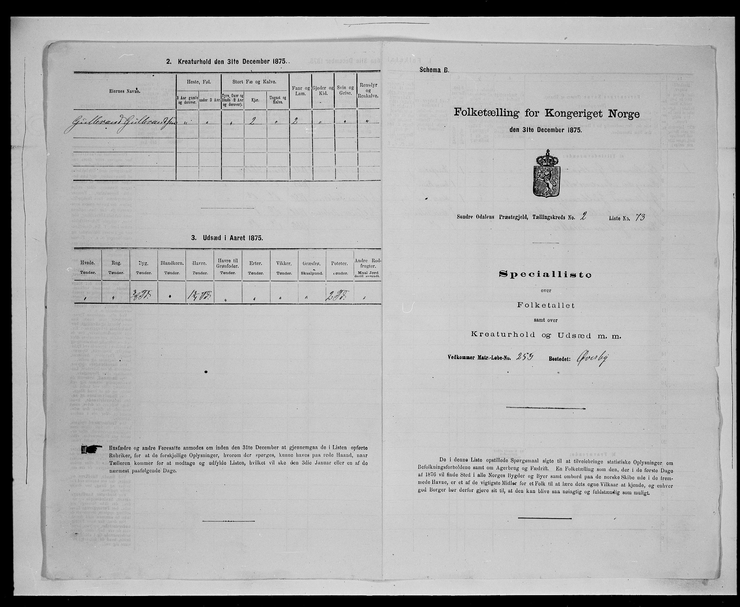 SAH, Folketelling 1875 for 0419P Sør-Odal prestegjeld, 1875, s. 373