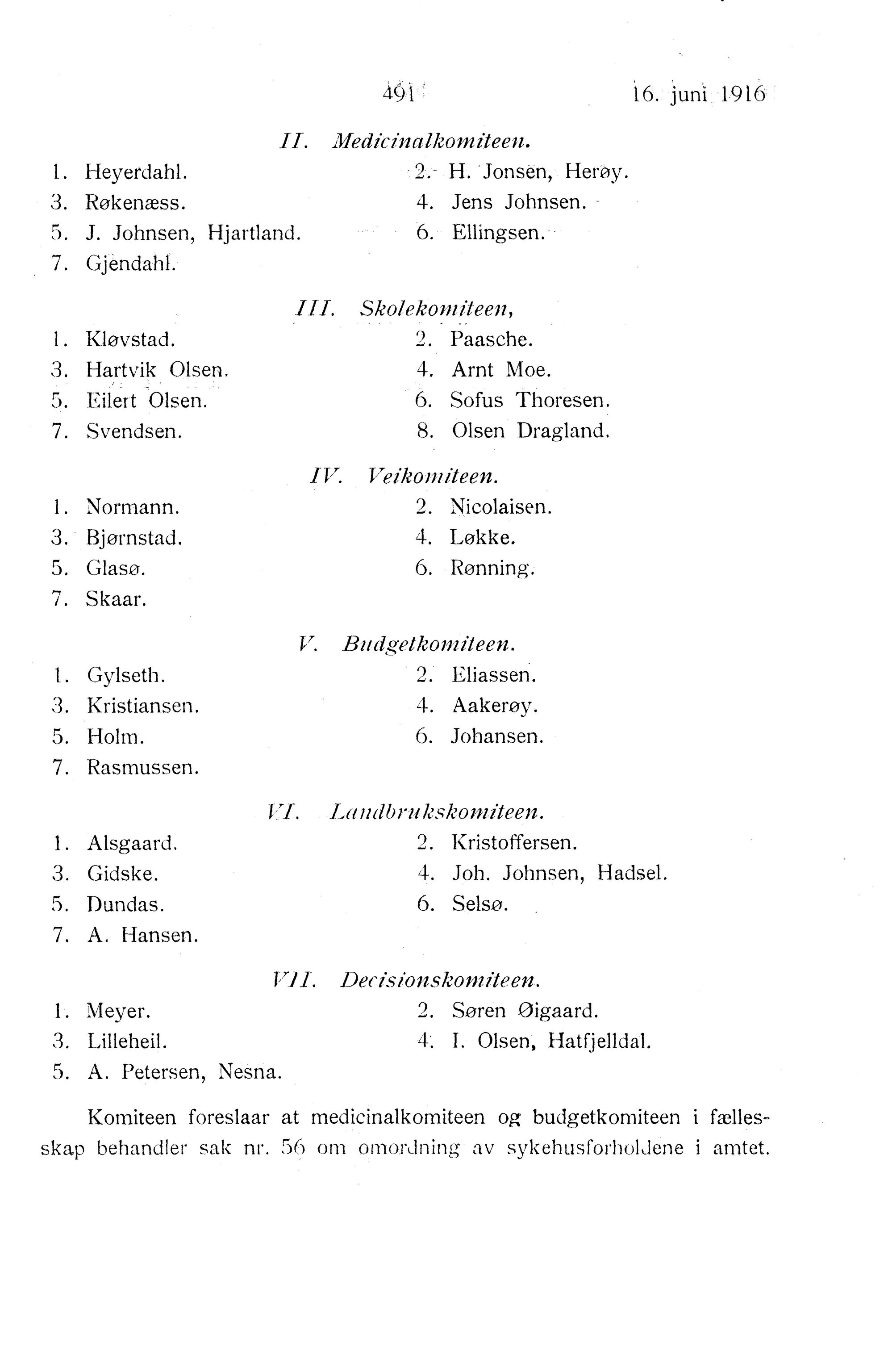 Nordland Fylkeskommune. Fylkestinget, AIN/NFK-17/176/A/Ac/L0039: Fylkestingsforhandlinger 1916, 1916