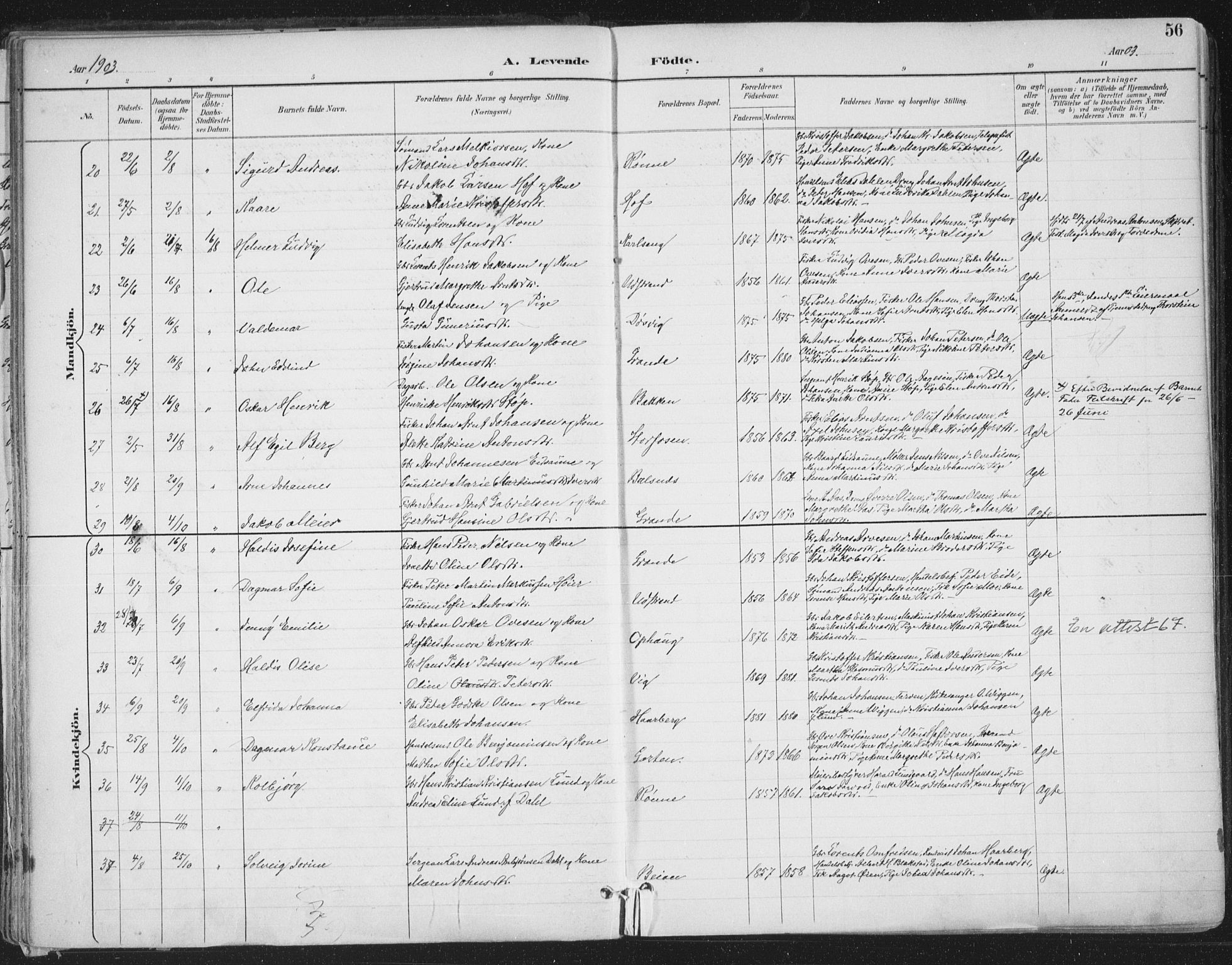 Ministerialprotokoller, klokkerbøker og fødselsregistre - Sør-Trøndelag, SAT/A-1456/659/L0743: Ministerialbok nr. 659A13, 1893-1910, s. 56
