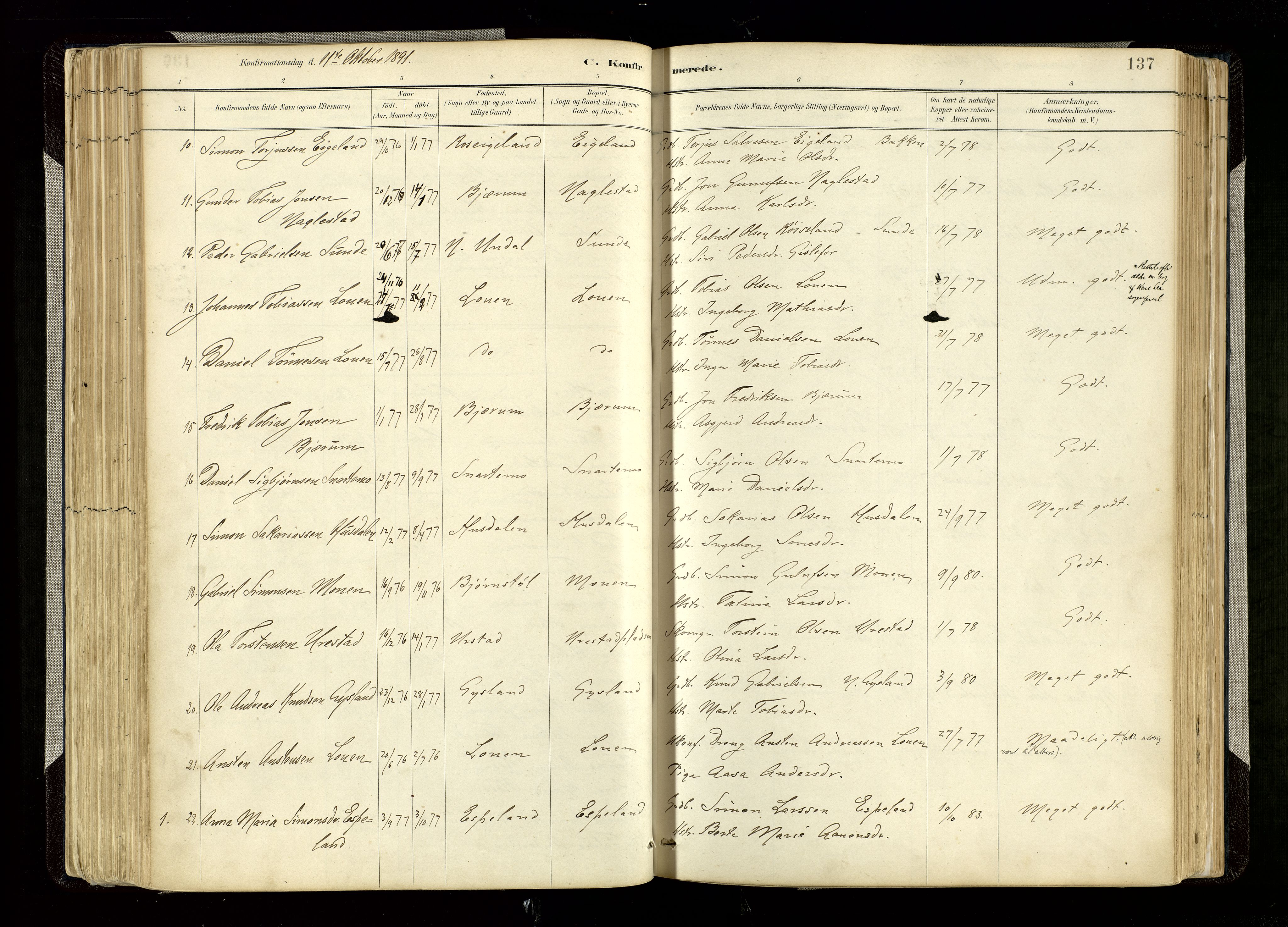 Hægebostad sokneprestkontor, AV/SAK-1111-0024/F/Fa/Faa/L0006: Ministerialbok nr. A 6, 1887-1929, s. 137