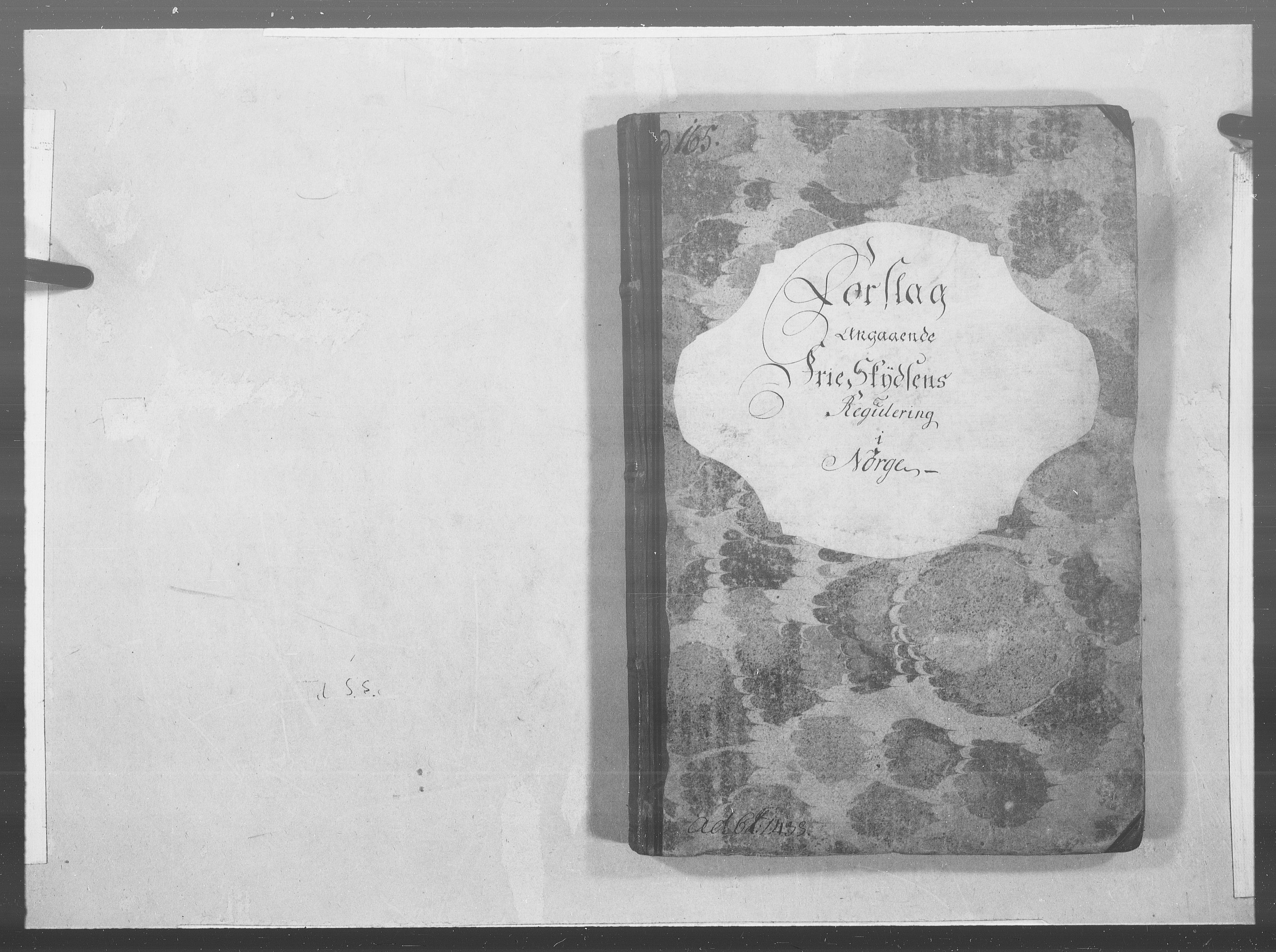 Danske Kanselli 1572-1799, RA/EA-3023/F/Fc/Fcc/Fcca/L0253: Norske innlegg 1572-1799, Friskyssen, 1784, s. 2