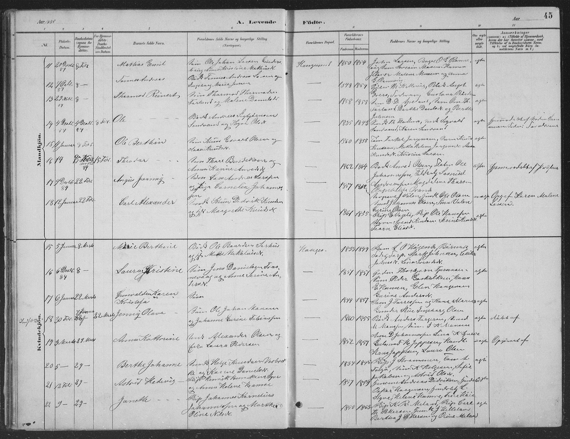 Haugesund sokneprestkontor, AV/SAST-A -101863/H/Ha/Hab/L0002: Klokkerbok nr. B 2, 1881-1894, s. 45