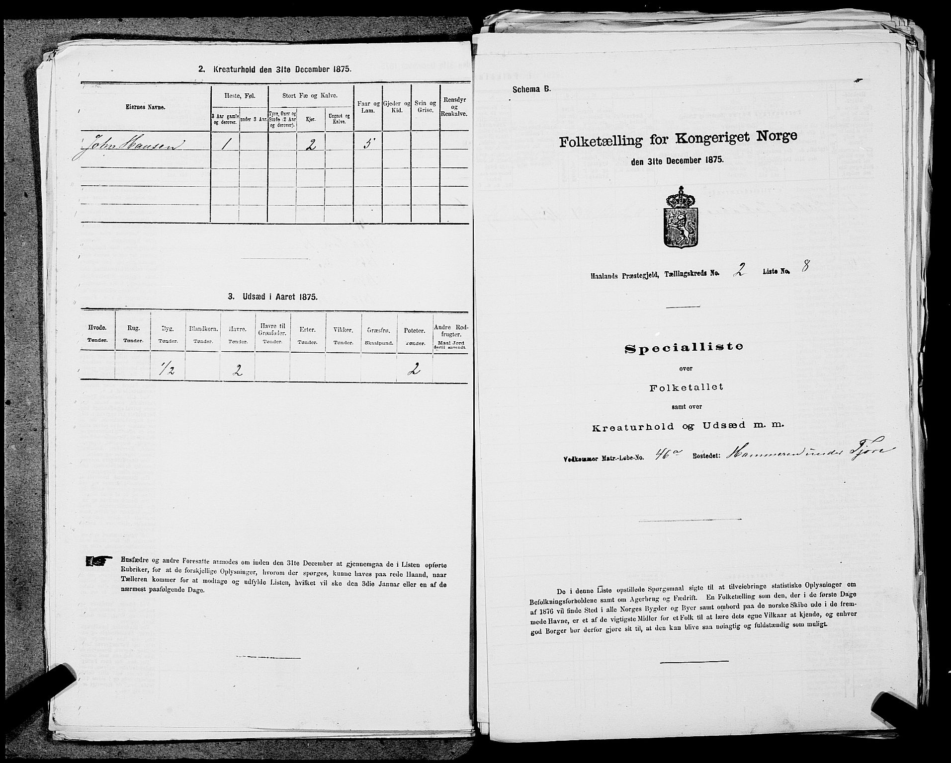 SAST, Folketelling 1875 for 1124P Håland prestegjeld, 1875, s. 246