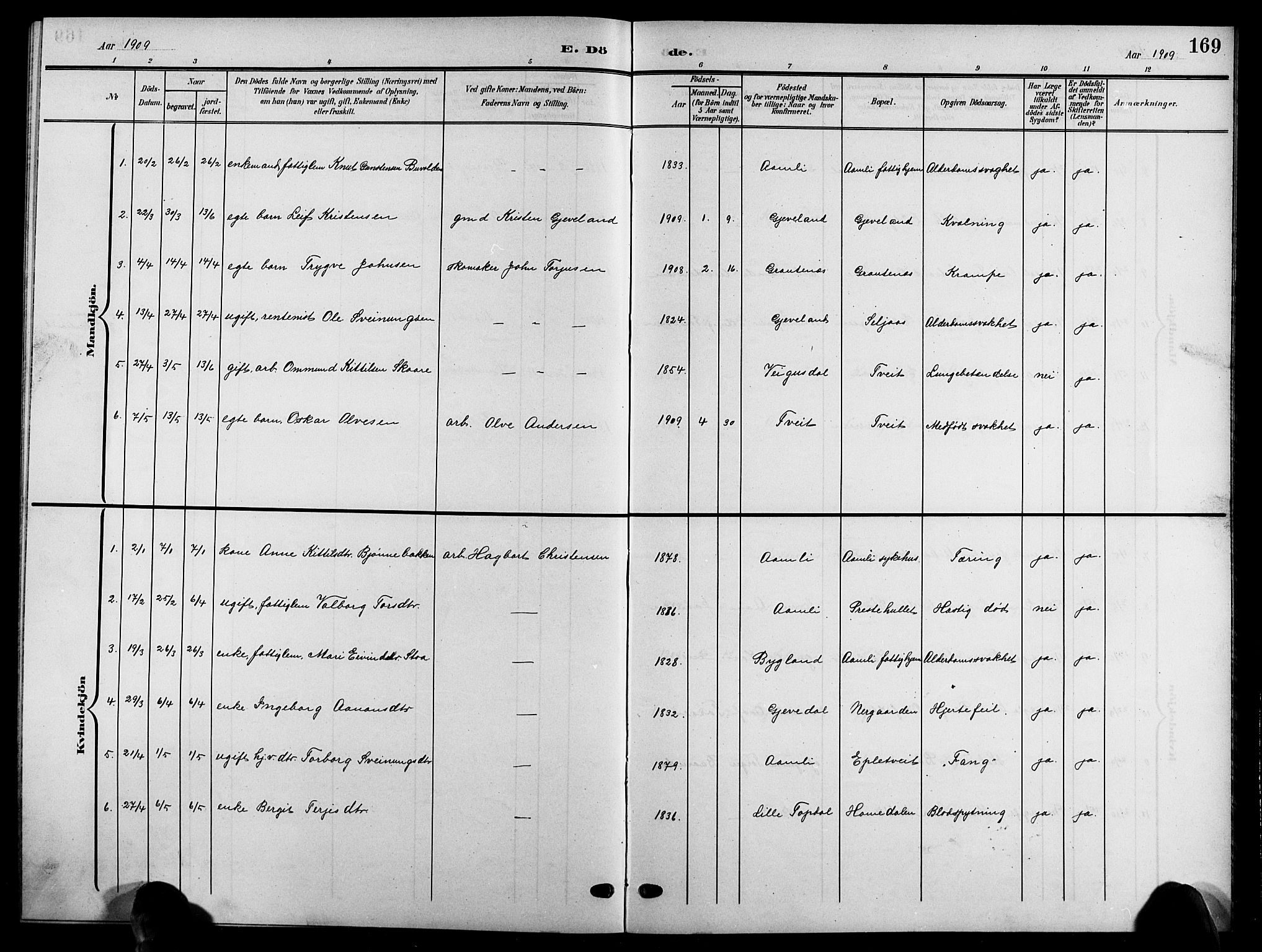 Åmli sokneprestkontor, SAK/1111-0050/F/Fb/Fbc/L0005: Klokkerbok nr. B 5, 1903-1916, s. 169