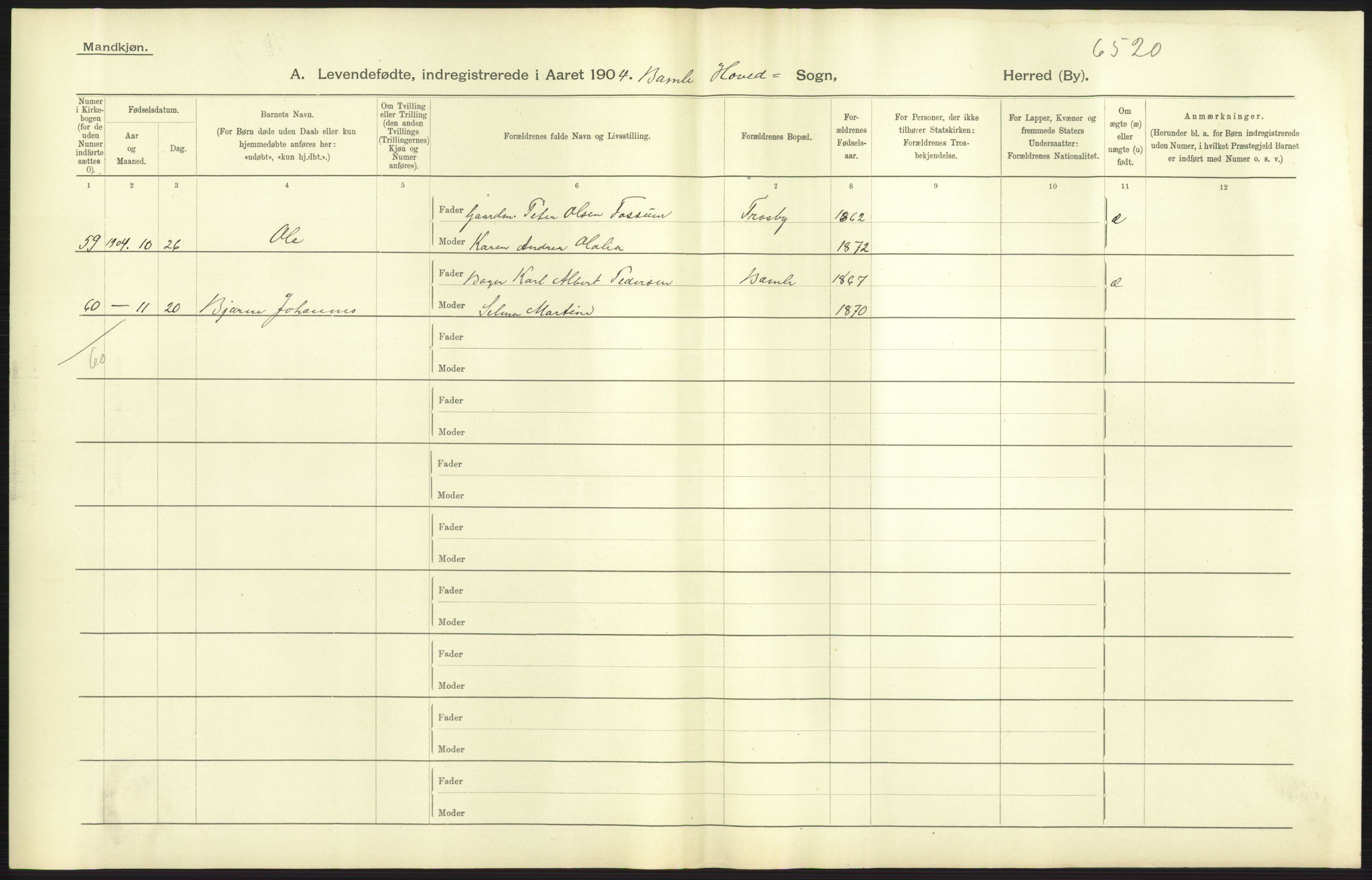 Statistisk sentralbyrå, Sosiodemografiske emner, Befolkning, AV/RA-S-2228/D/Df/Dfa/Dfab/L0009: Bratsberg amt: Fødte, gifte, døde, 1904, s. 55