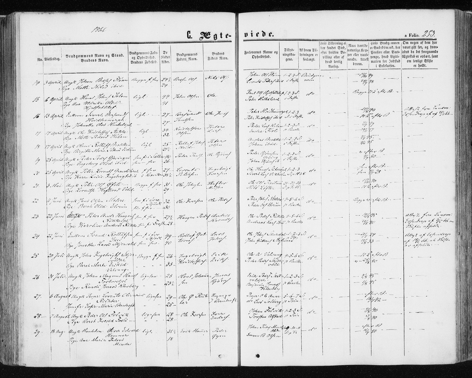 Ministerialprotokoller, klokkerbøker og fødselsregistre - Nord-Trøndelag, AV/SAT-A-1458/709/L0075: Ministerialbok nr. 709A15, 1859-1870, s. 253