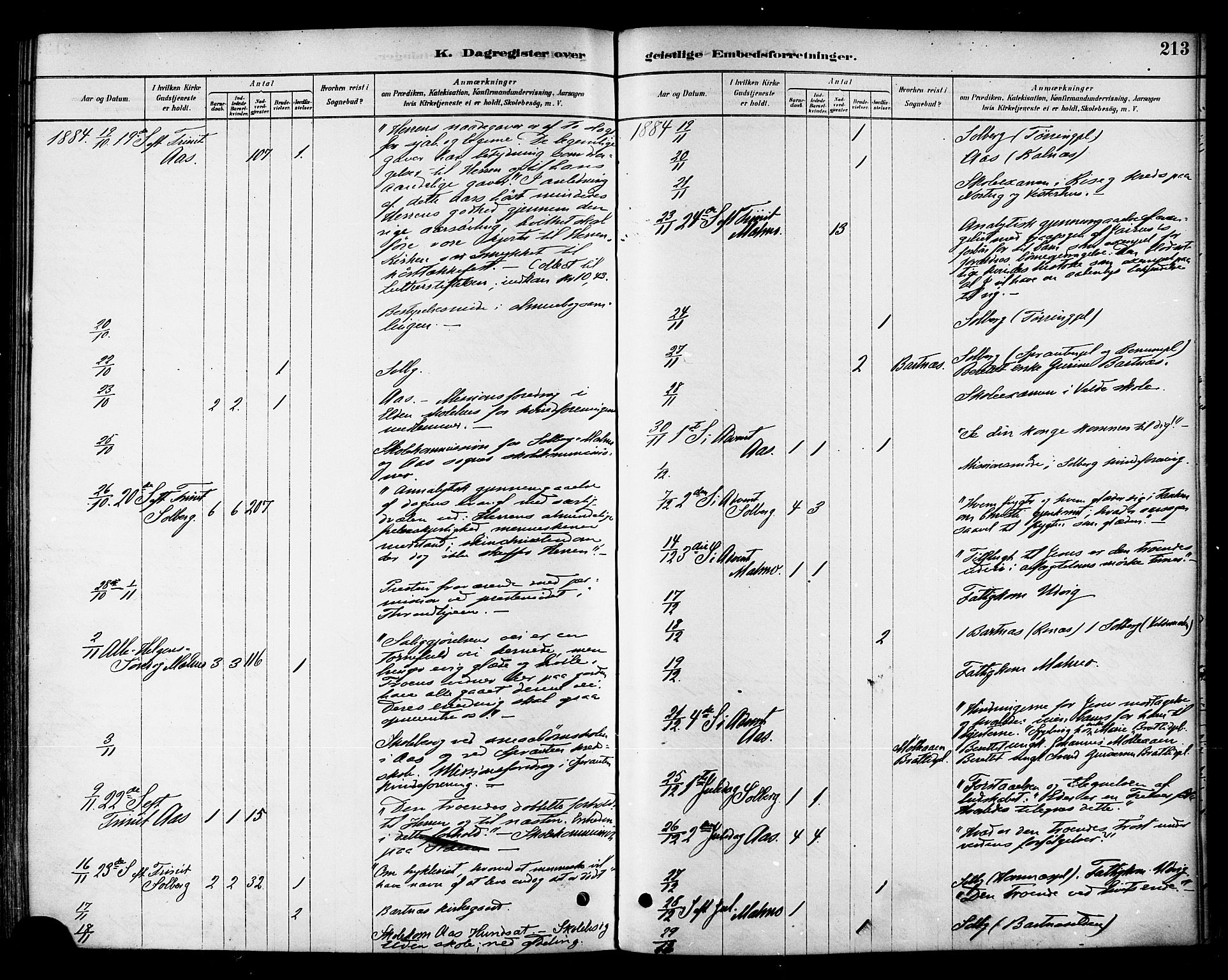 Ministerialprotokoller, klokkerbøker og fødselsregistre - Nord-Trøndelag, AV/SAT-A-1458/741/L0395: Ministerialbok nr. 741A09, 1878-1888, s. 213