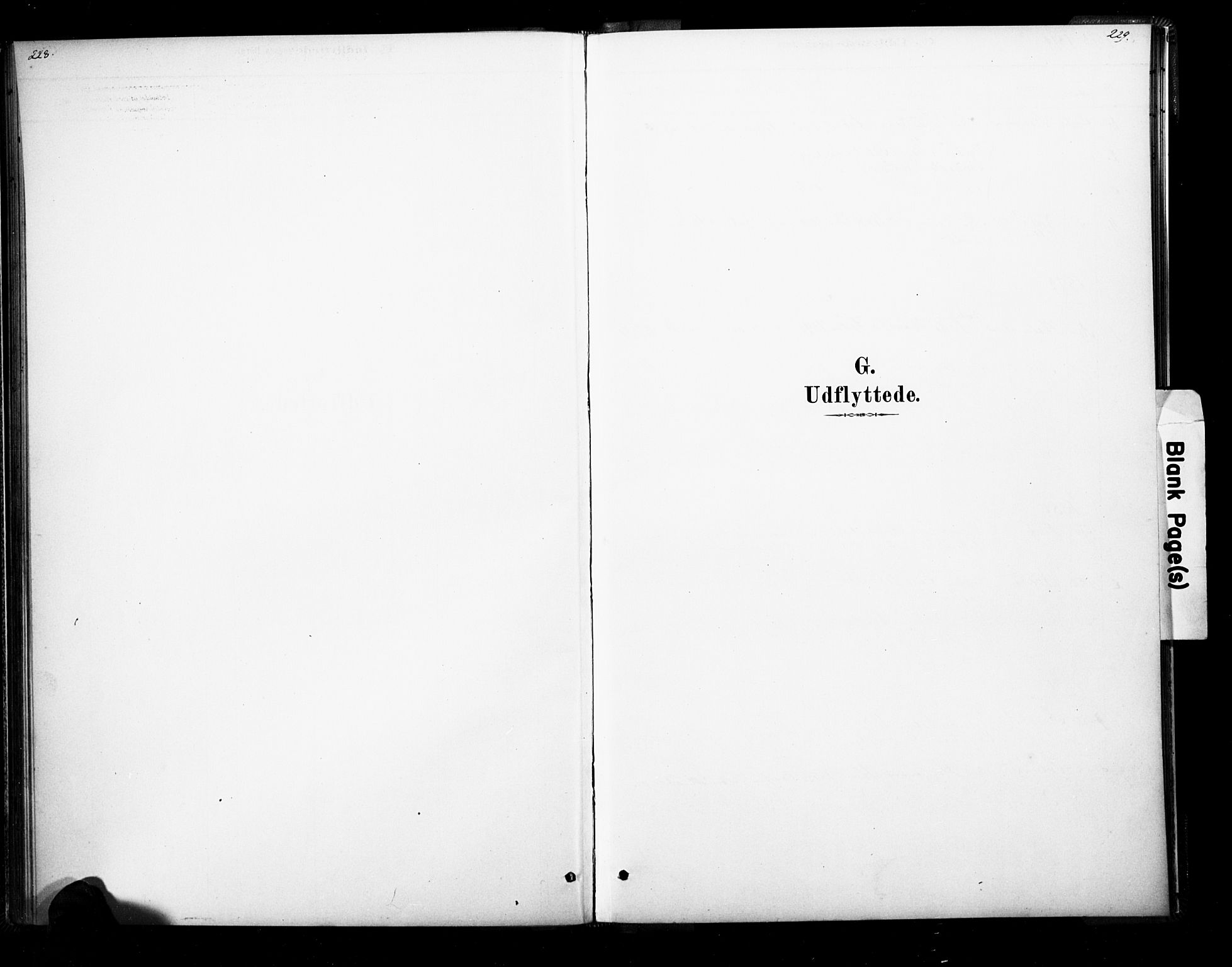 Ramnes kirkebøker, SAKO/A-314/F/Fb/L0001: Ministerialbok nr. II 1, 1878-1894, s. 228-229