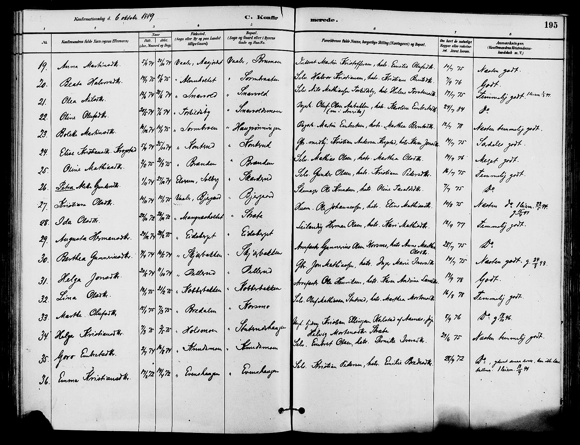 Våler prestekontor, Hedmark, AV/SAH-PREST-040/H/Ha/Haa/L0002: Ministerialbok nr. 3, 1879-1911, s. 195