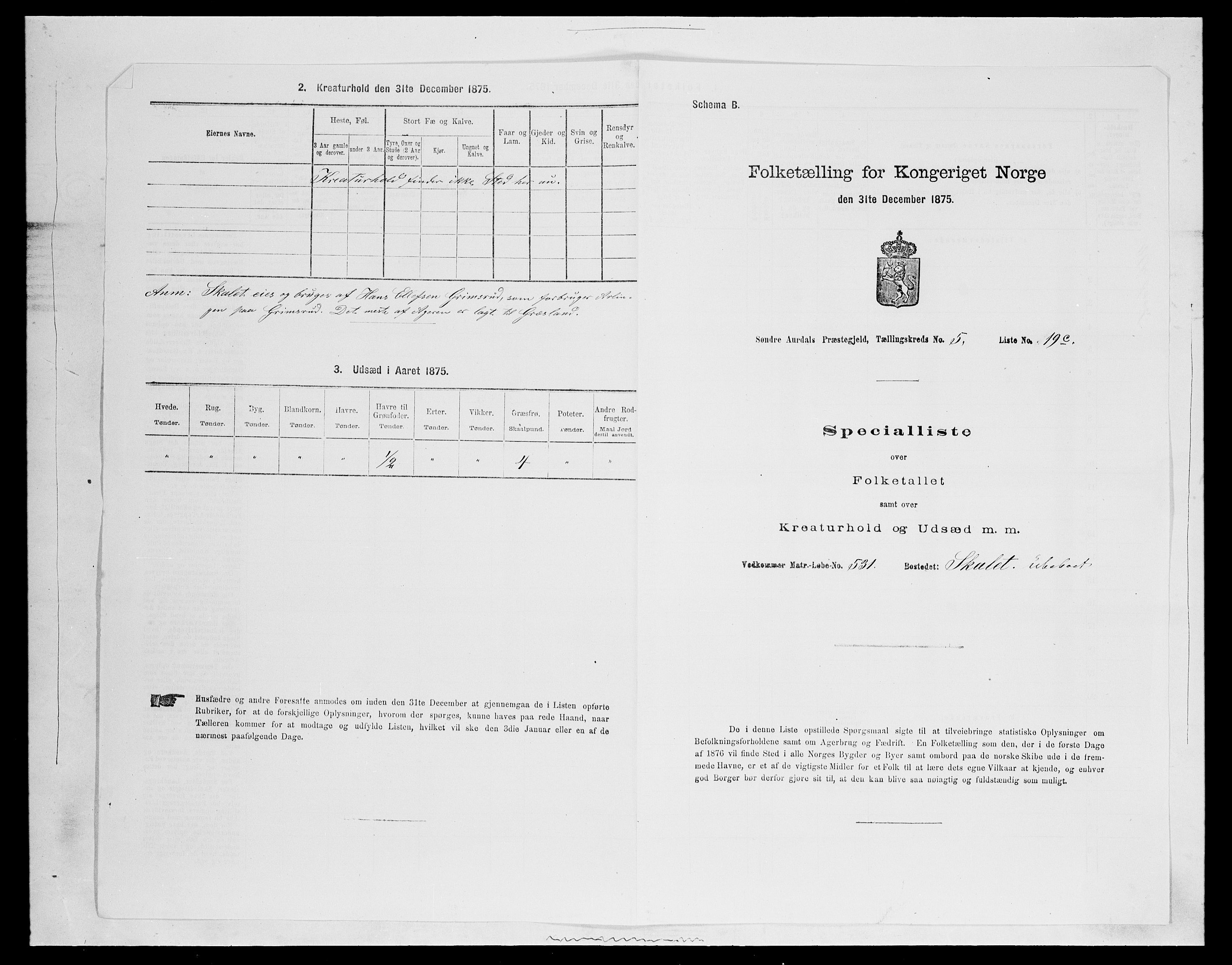 SAH, Folketelling 1875 for 0540P Sør-Aurdal prestegjeld, 1875, s. 983