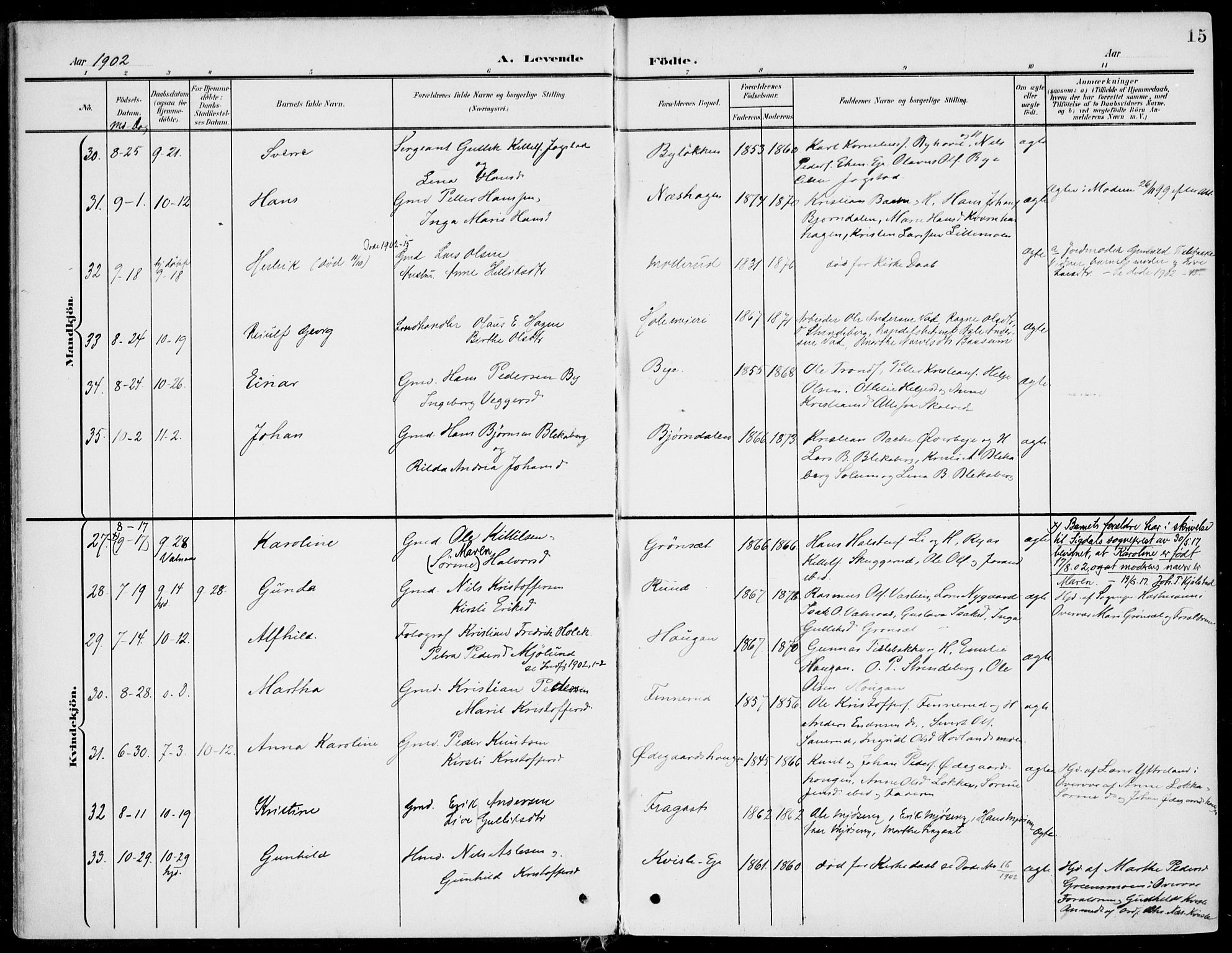 Sigdal kirkebøker, AV/SAKO-A-245/F/Fb/L0002: Ministerialbok nr. II 2, 1901-1914, s. 15