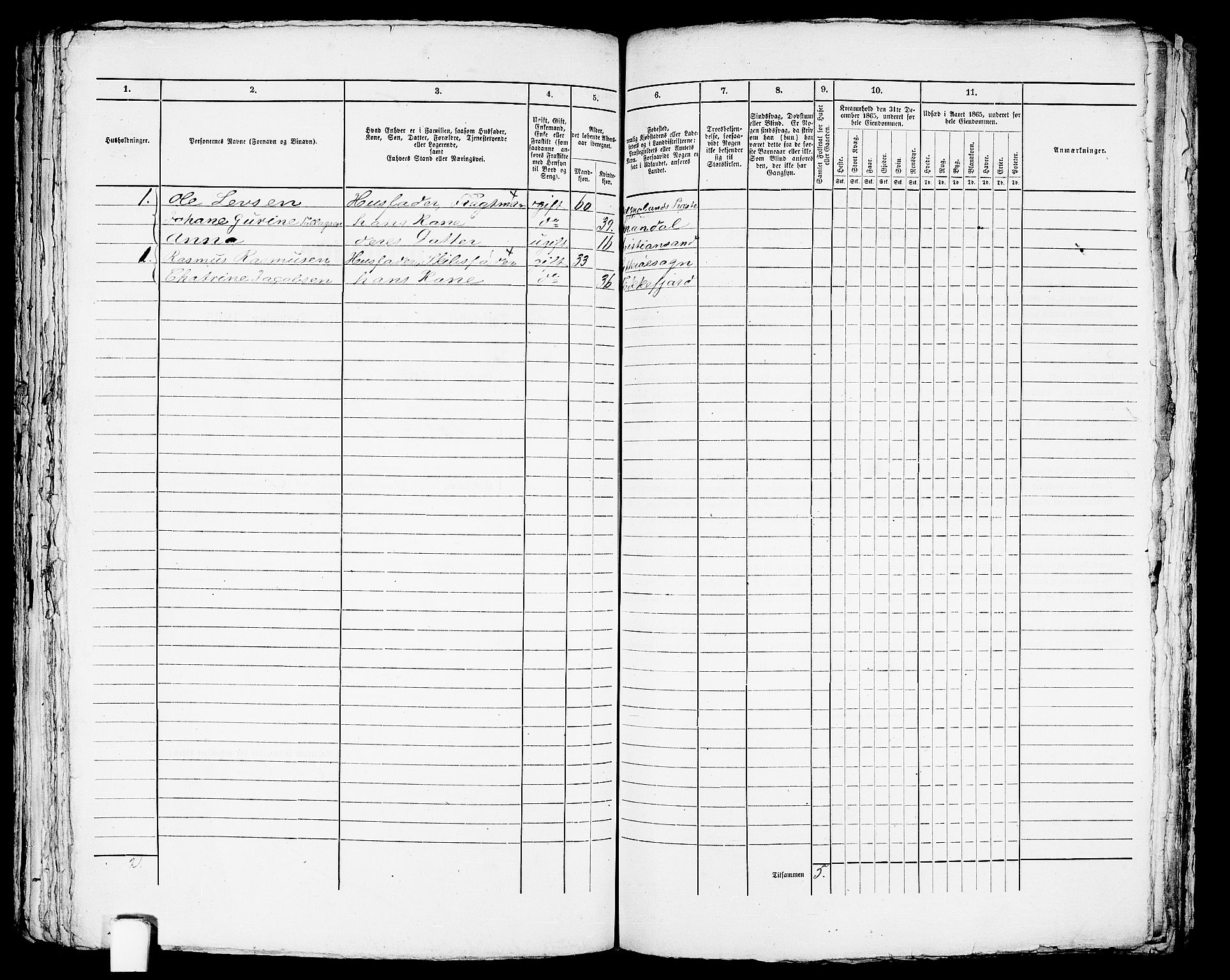 RA, Folketelling 1865 for 1004B Flekkefjord prestegjeld, Flekkefjord kjøpstad, 1865, s. 305