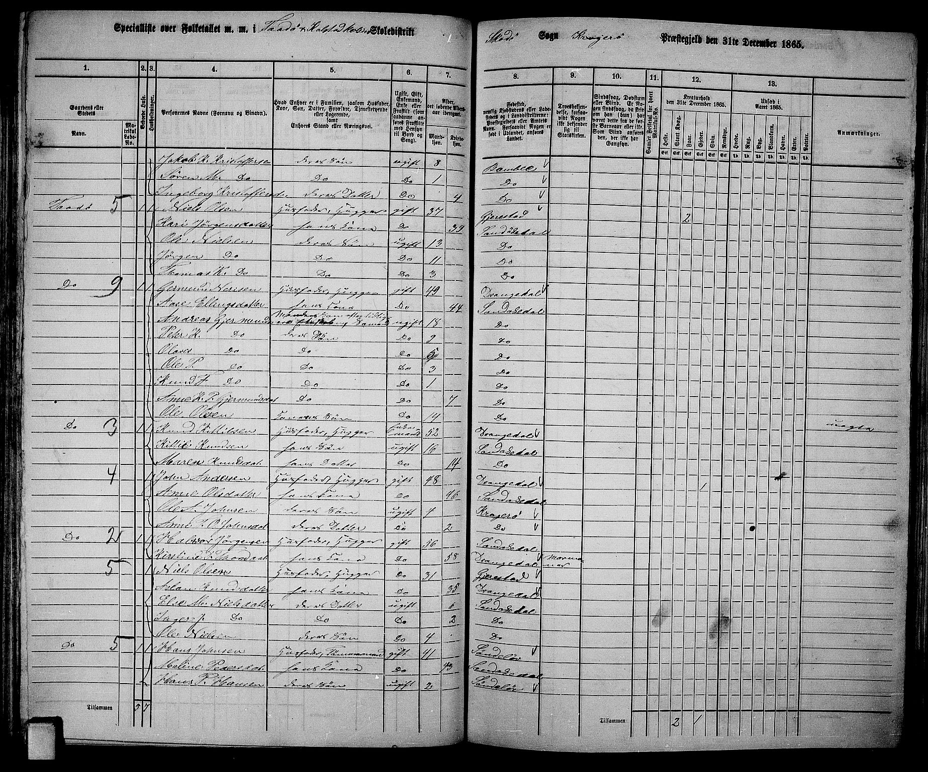 RA, Folketelling 1865 for 0816L Kragerø prestegjeld, Sannidal sokn og Skåtøy sokn, 1865, s. 117