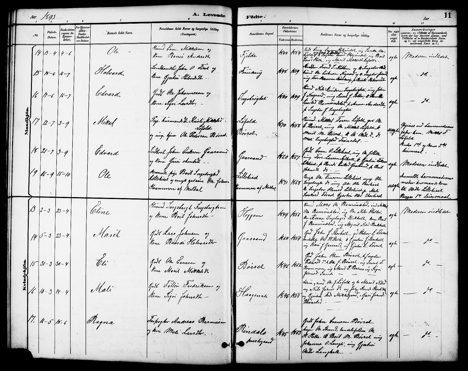 Ministerialprotokoller, klokkerbøker og fødselsregistre - Møre og Romsdal, AV/SAT-A-1454/598/L1078: Klokkerbok nr. 598C03, 1892-1909, s. 11