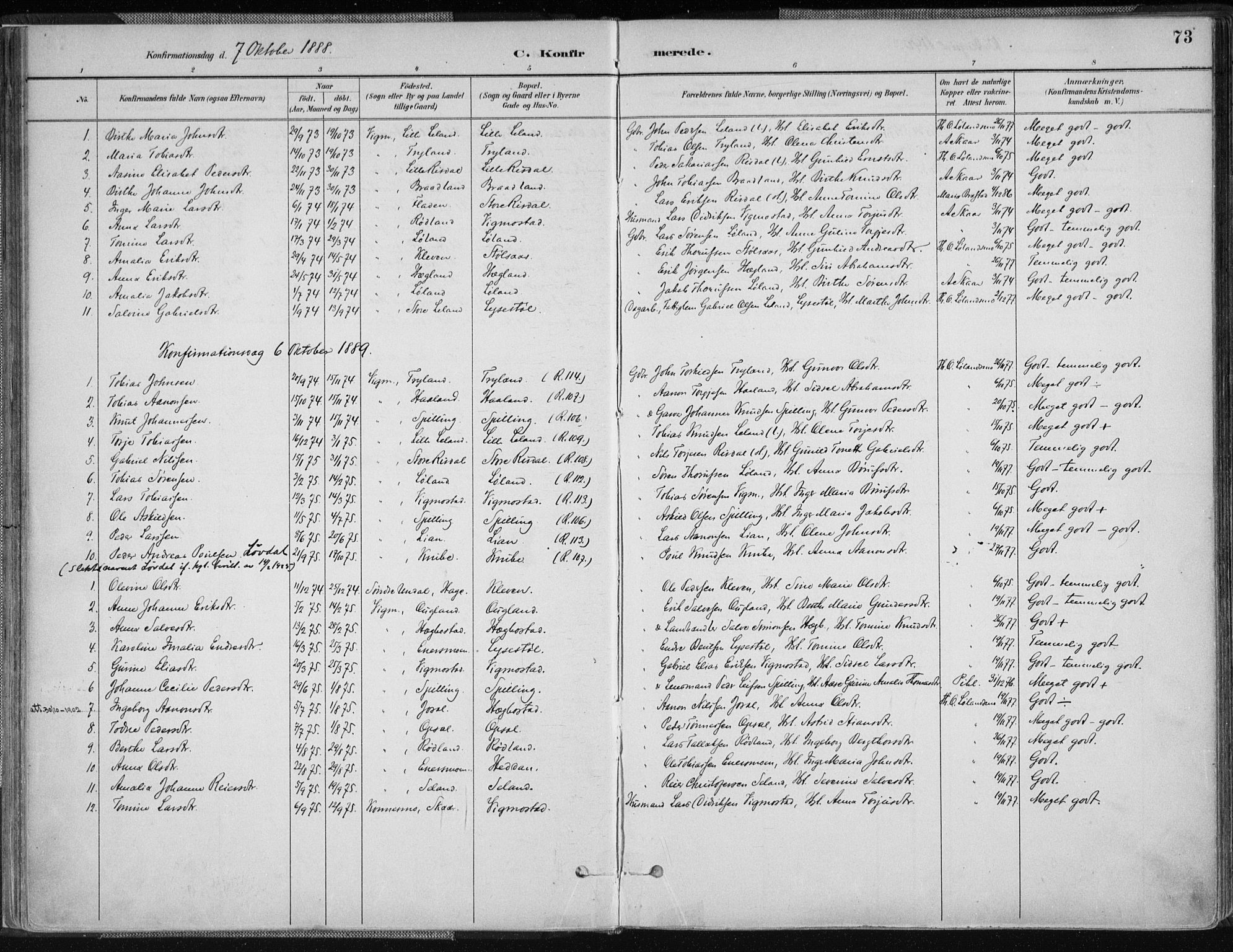 Nord-Audnedal sokneprestkontor, AV/SAK-1111-0032/F/Fa/Fab/L0003: Ministerialbok nr. A 3, 1882-1900, s. 73