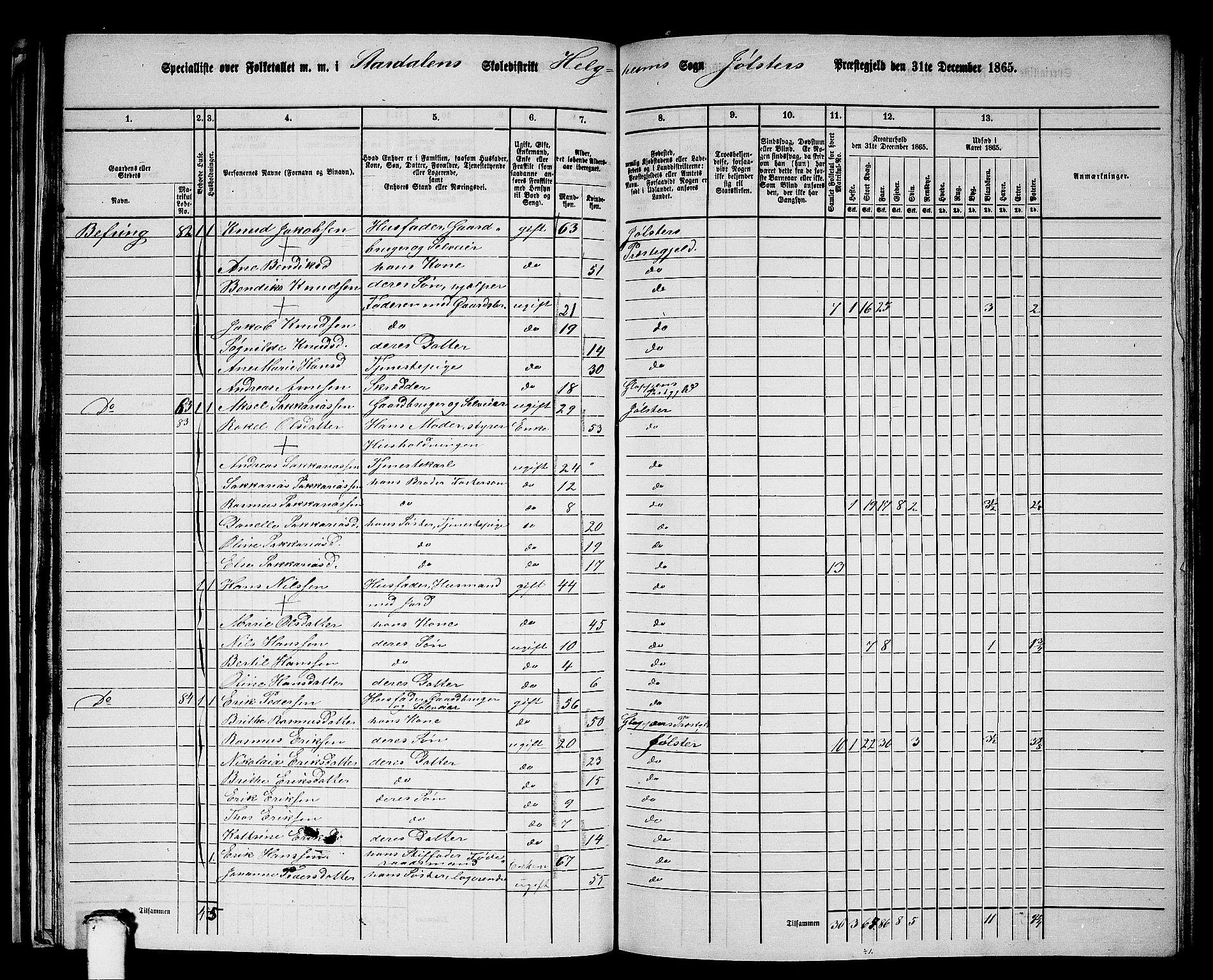 RA, Folketelling 1865 for 1431P Jølster prestegjeld, 1865, s. 55