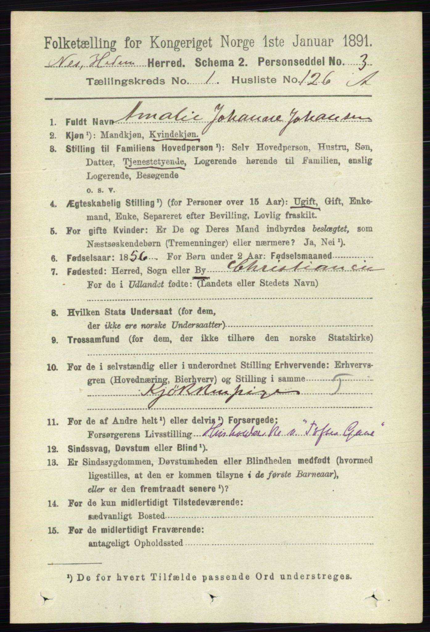 RA, Folketelling 1891 for 0411 Nes herred, 1891, s. 907