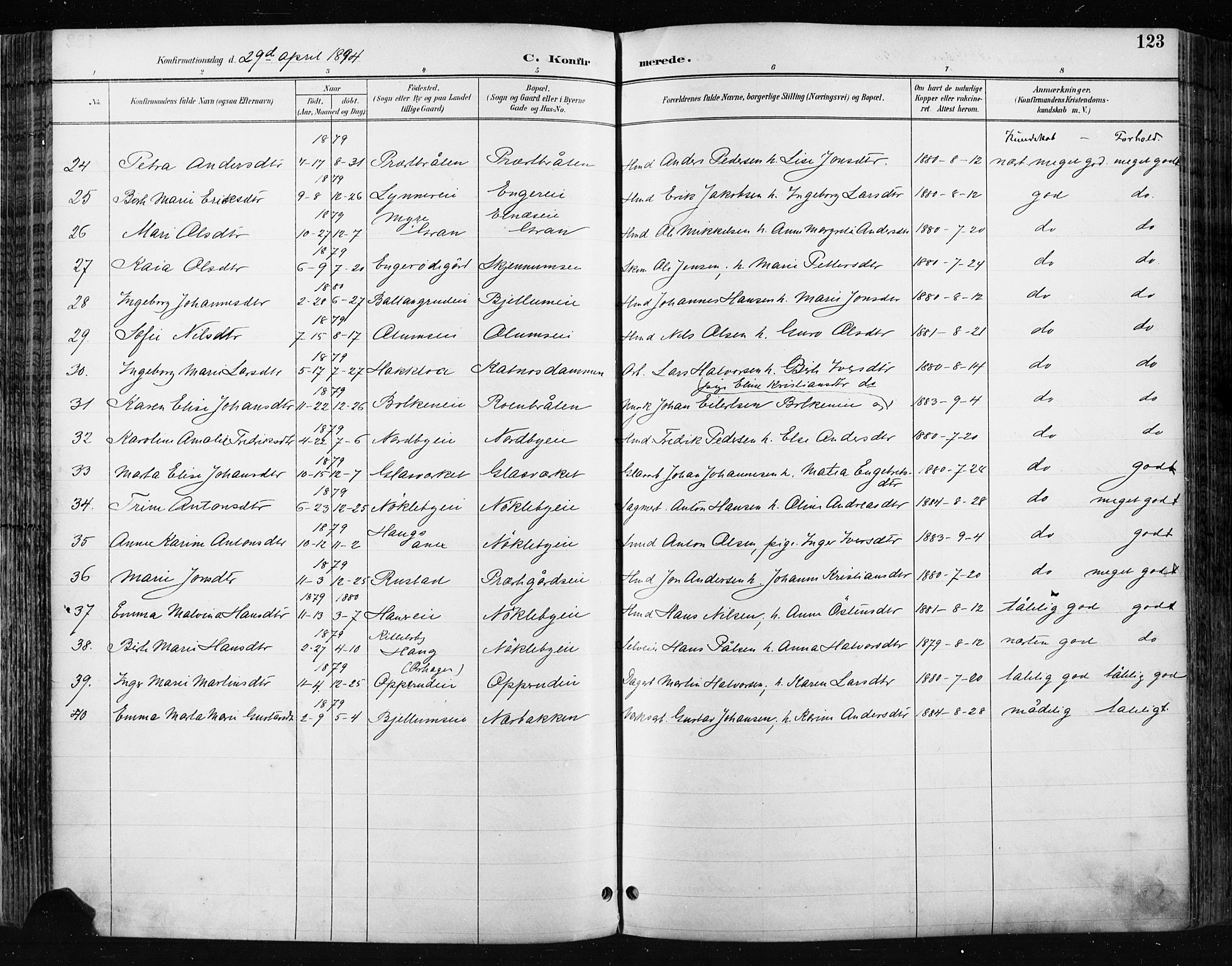 Jevnaker prestekontor, AV/SAH-PREST-116/H/Ha/Haa/L0009: Ministerialbok nr. 9, 1891-1901, s. 123