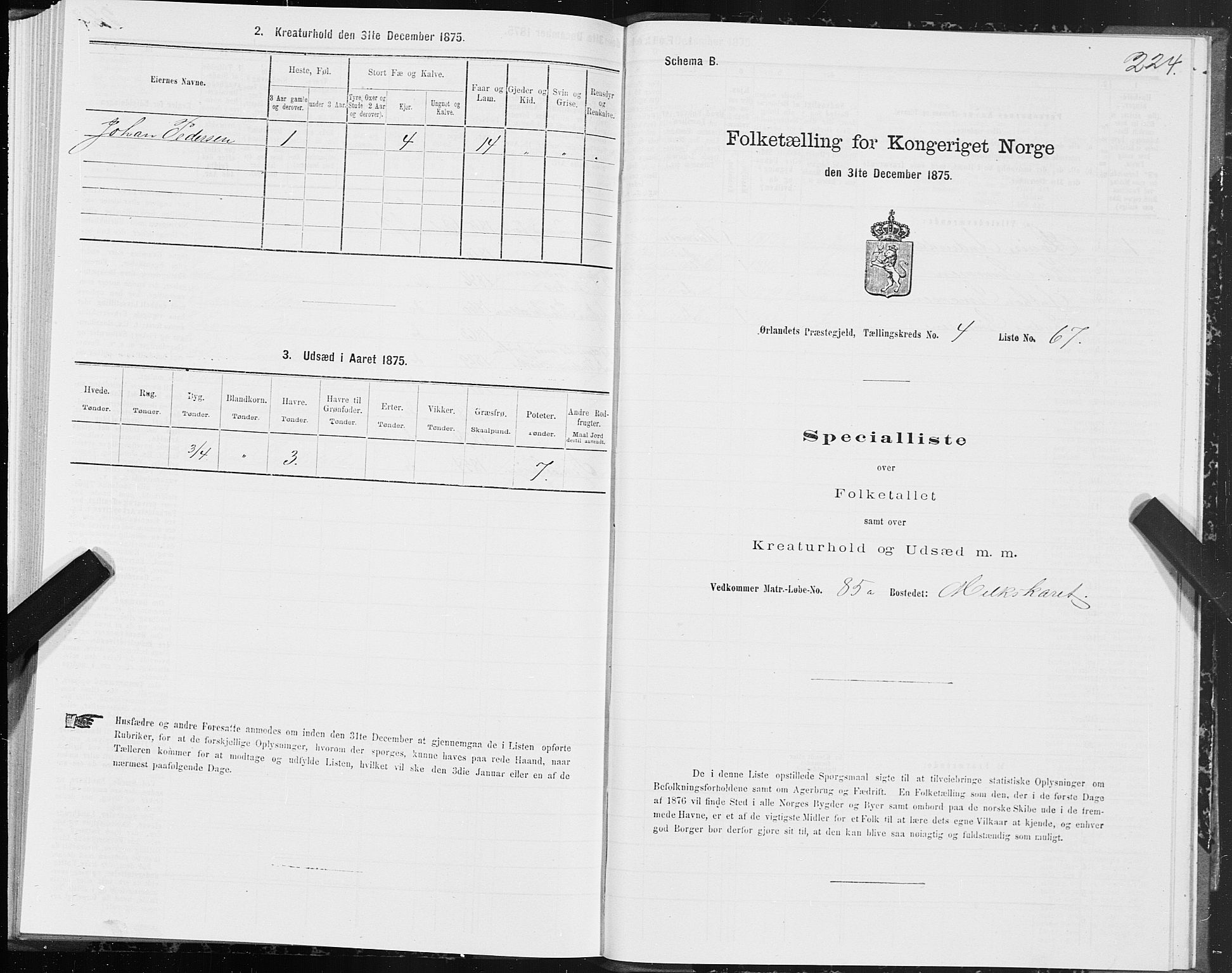 SAT, Folketelling 1875 for 1621P Ørland prestegjeld, 1875, s. 2224