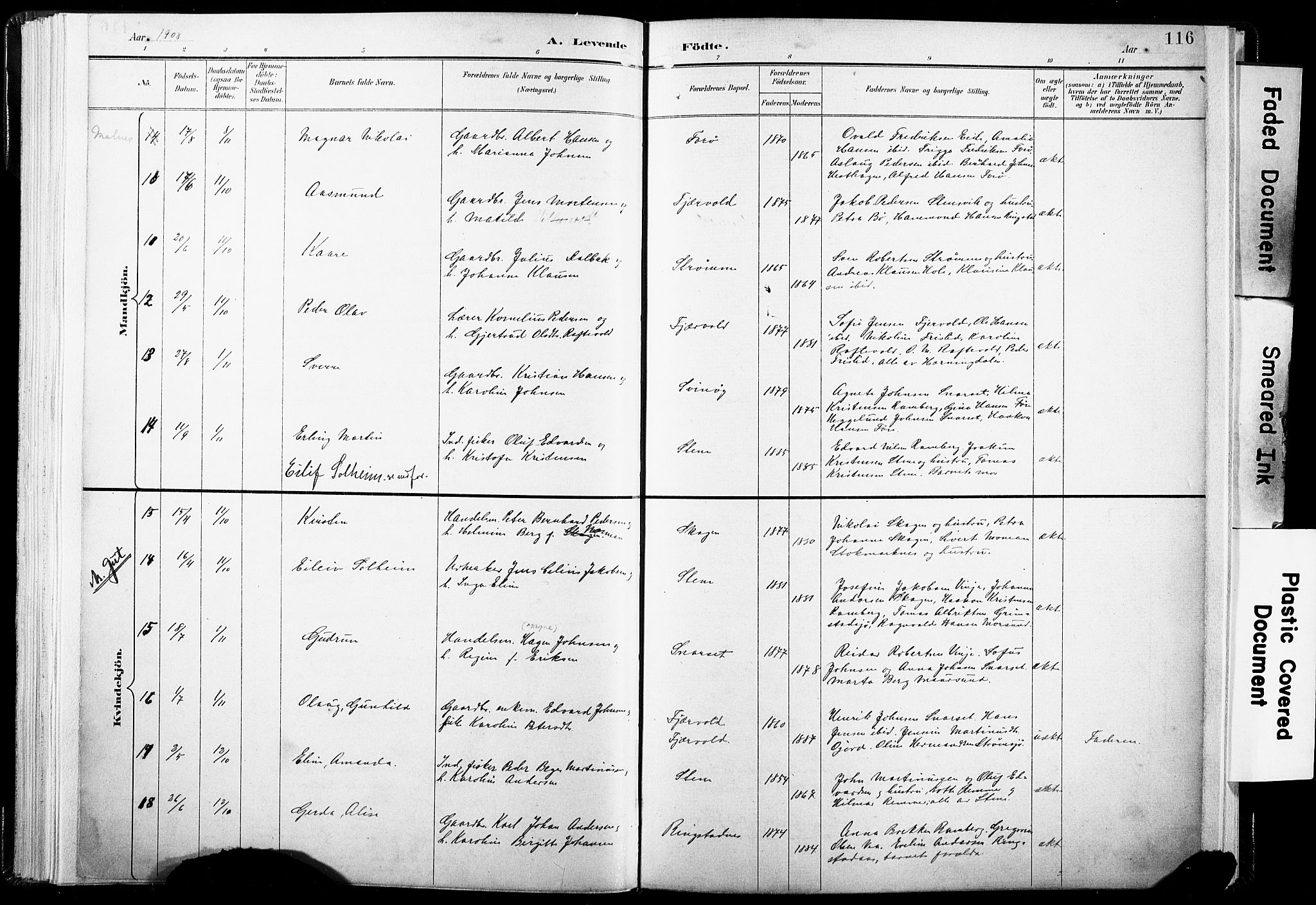 Ministerialprotokoller, klokkerbøker og fødselsregistre - Nordland, SAT/A-1459/891/L1304: Ministerialbok nr. 891A09, 1895-1921, s. 116