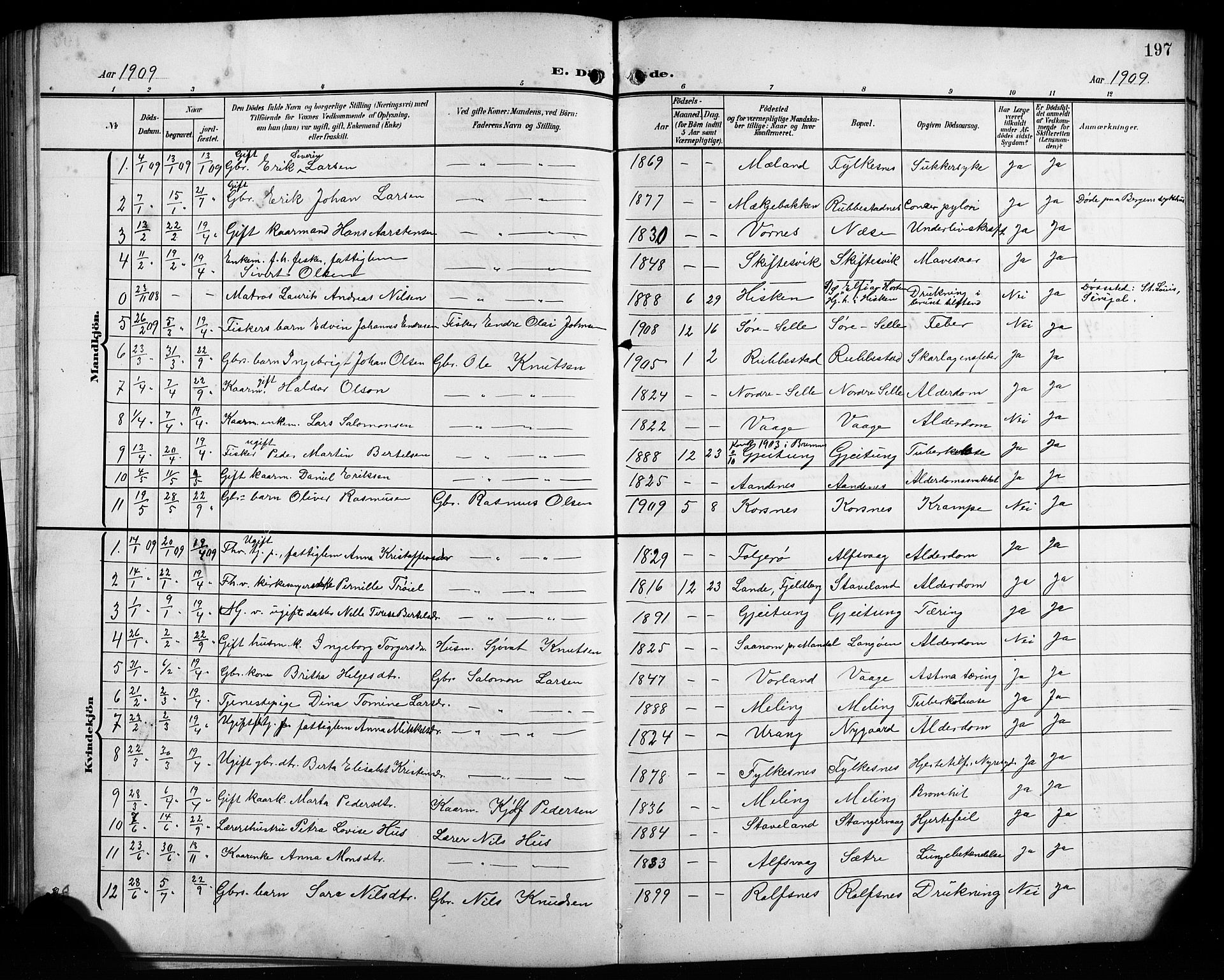 Finnås sokneprestembete, AV/SAB-A-99925/H/Ha/Hab/Habb/L0005: Klokkerbok nr. B 5, 1907-1920, s. 197