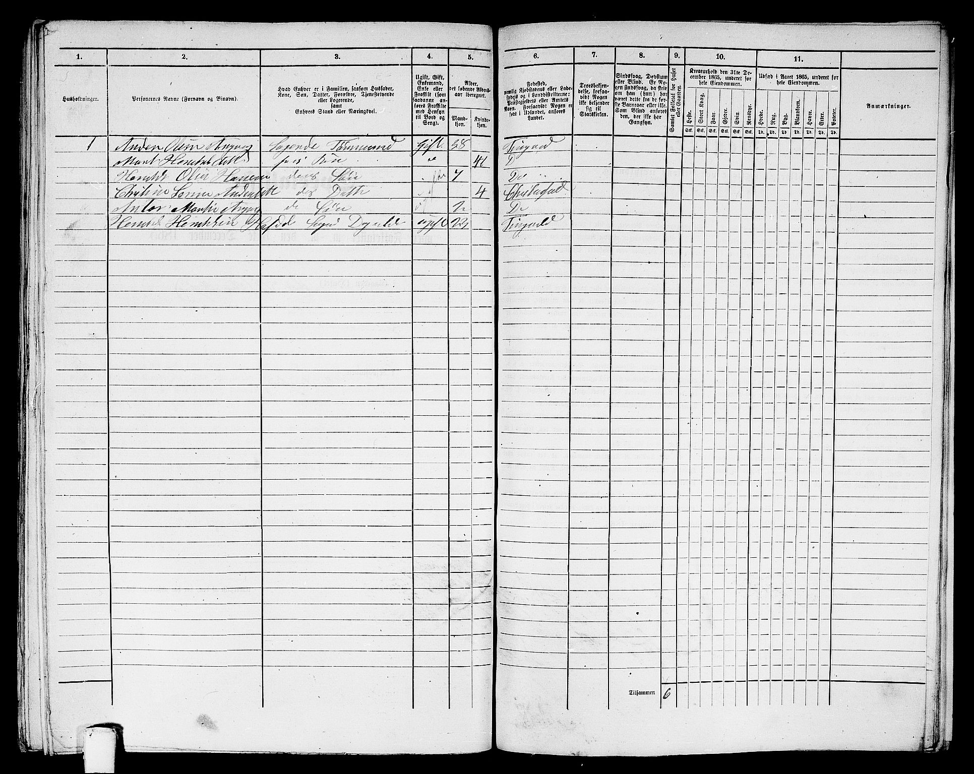 RA, Folketelling 1865 for 1503B Kristiansund prestegjeld, Kristiansund kjøpstad, 1865, s. 1017