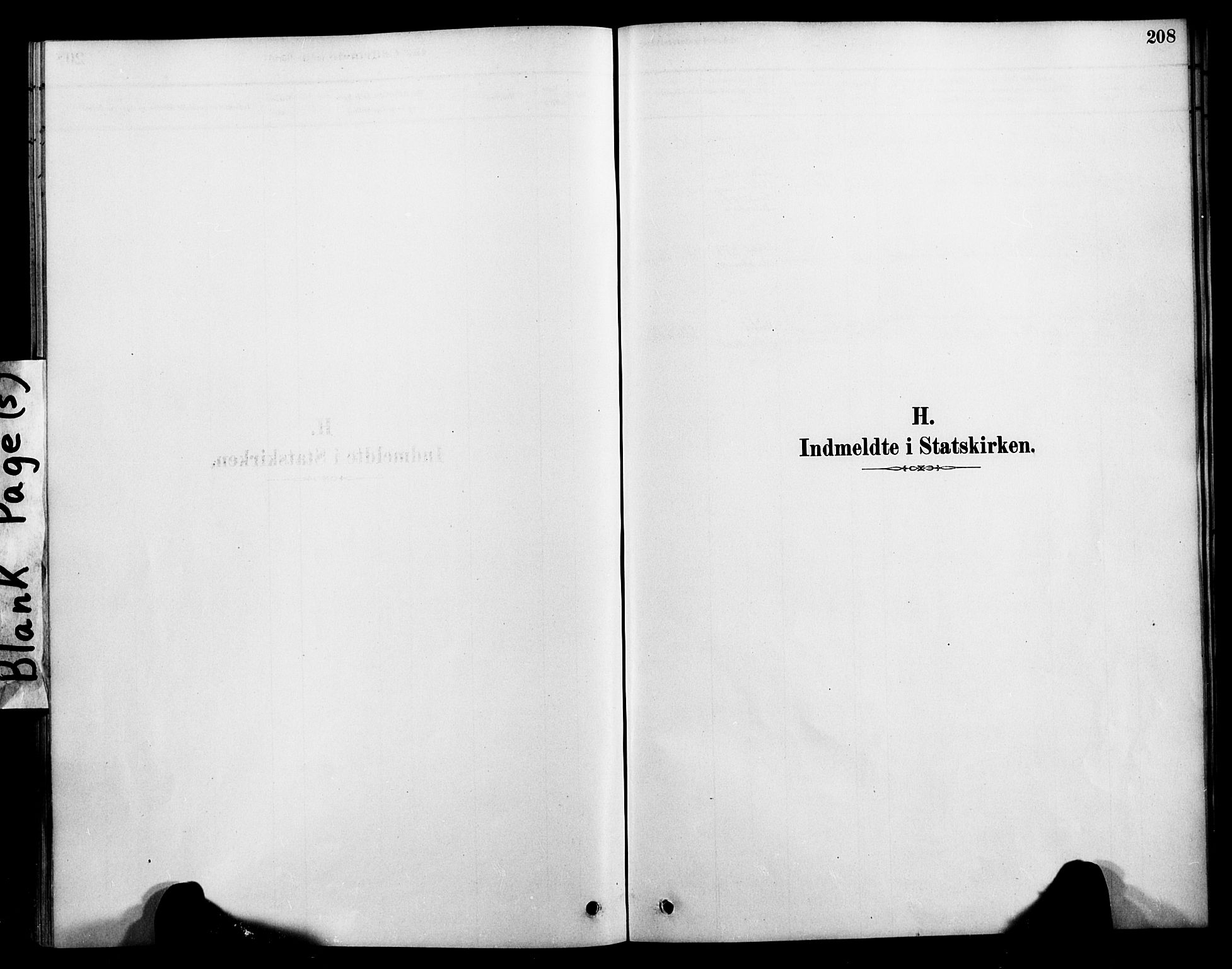 Ministerialprotokoller, klokkerbøker og fødselsregistre - Nordland, SAT/A-1459/899/L1436: Ministerialbok nr. 899A04, 1881-1896, s. 208