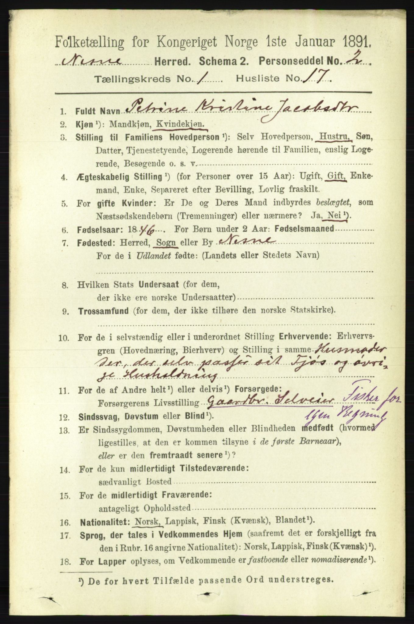 RA, Folketelling 1891 for 1828 Nesna herred, 1891, s. 213