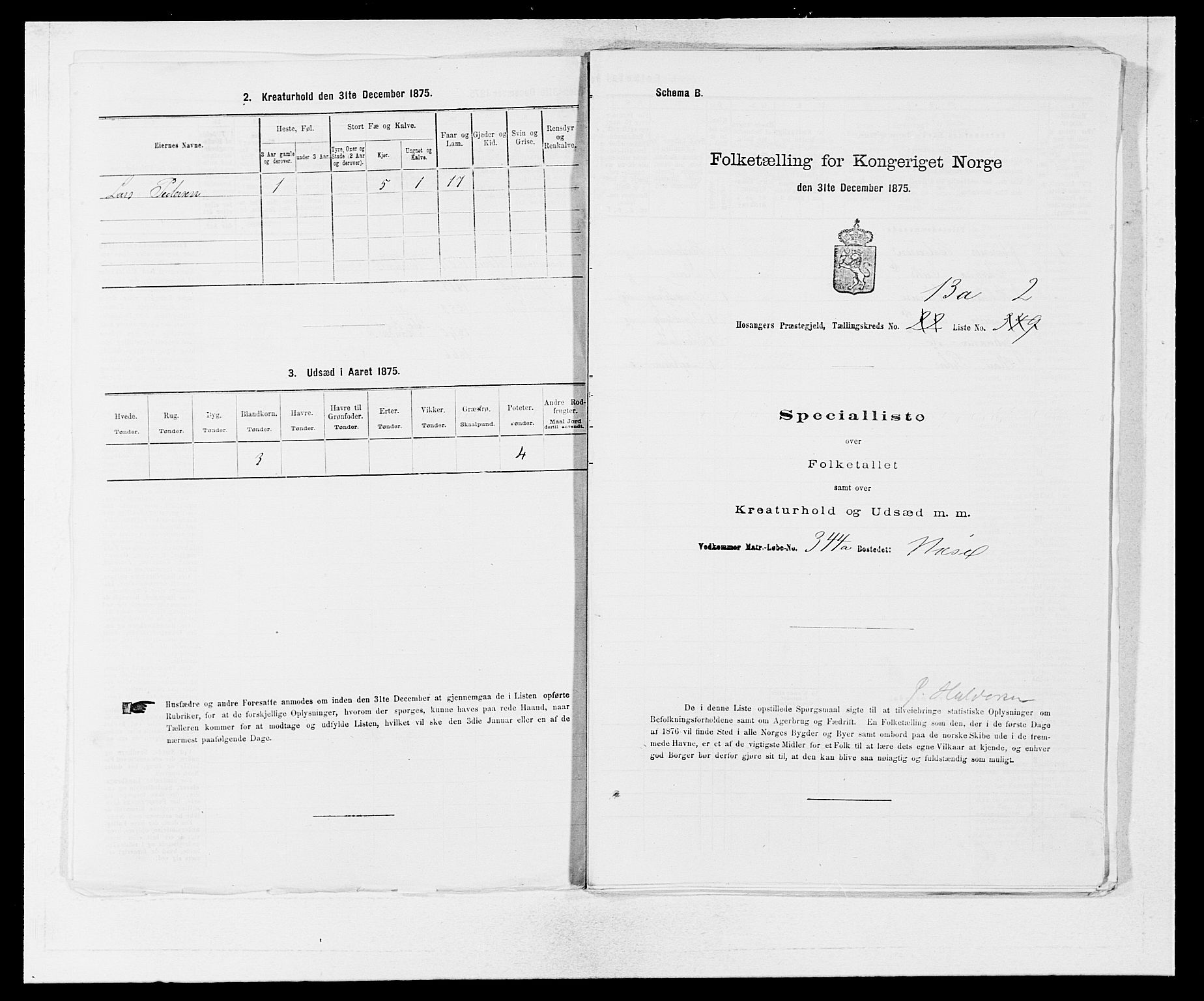 SAB, Folketelling 1875 for 1253P Hosanger prestegjeld, 1875, s. 909