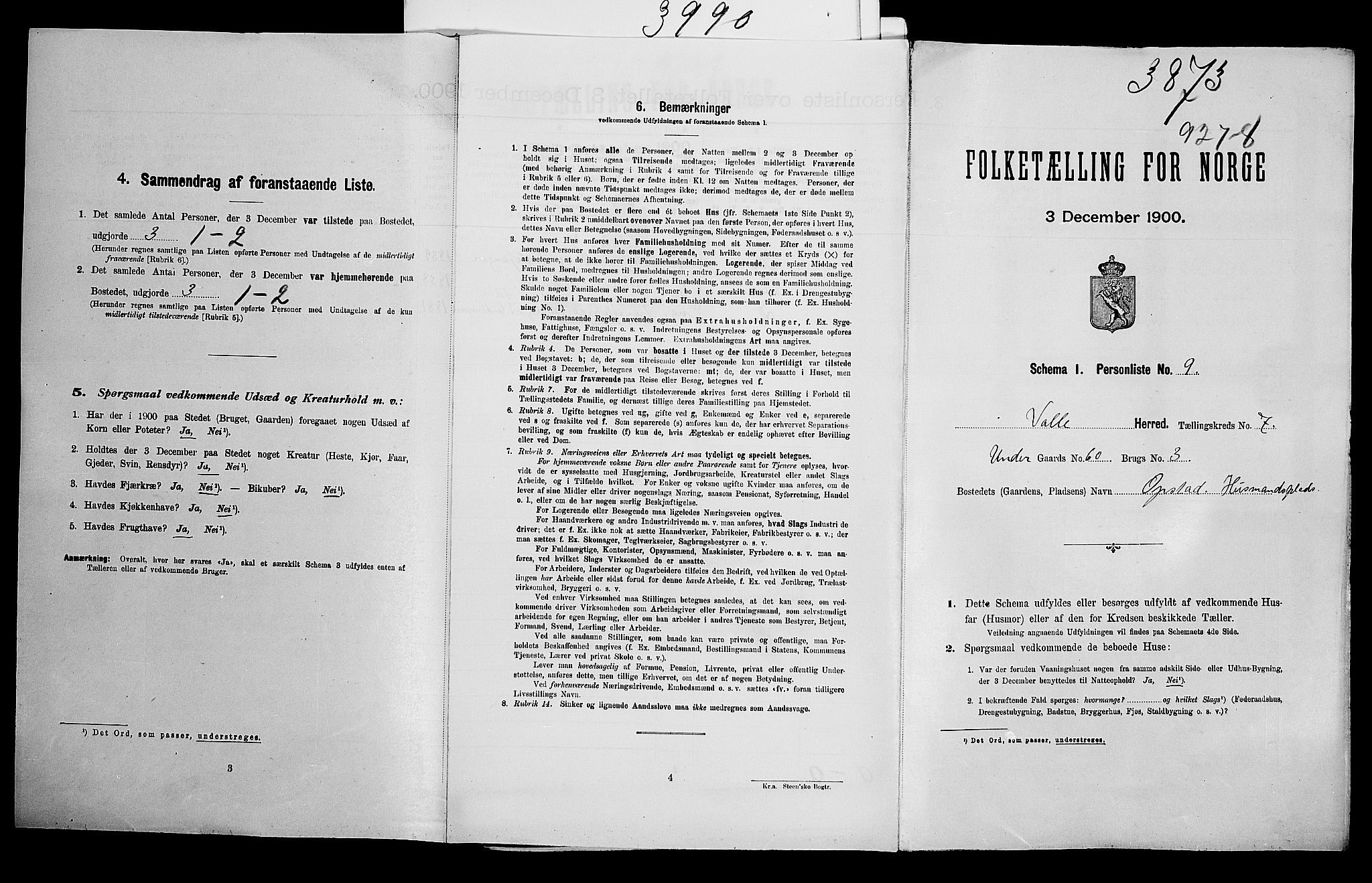 SAK, Folketelling 1900 for 0940 Valle herred, 1900, s. 50