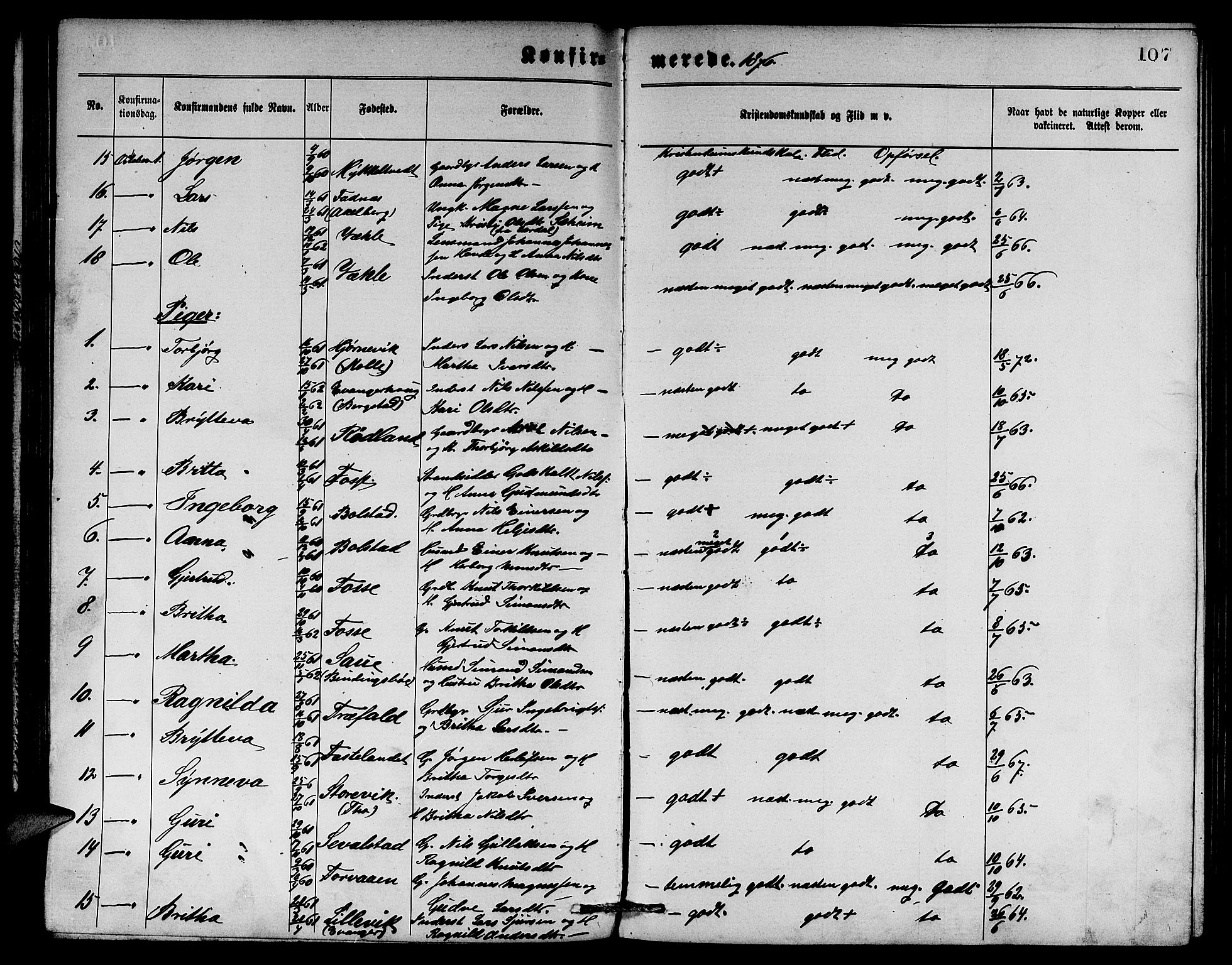 Evanger sokneprestembete, AV/SAB-A-99924: Klokkerbok nr. A 3, 1875-1887, s. 107