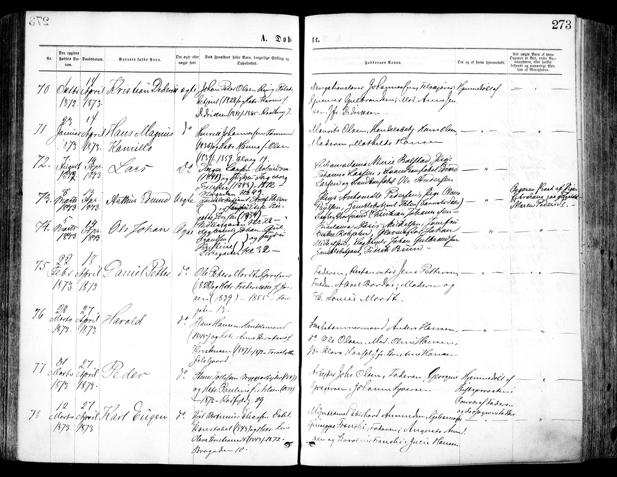 Oslo domkirke Kirkebøker, SAO/A-10752/F/Fa/L0017: Ministerialbok nr. 17, 1869-1878, s. 273