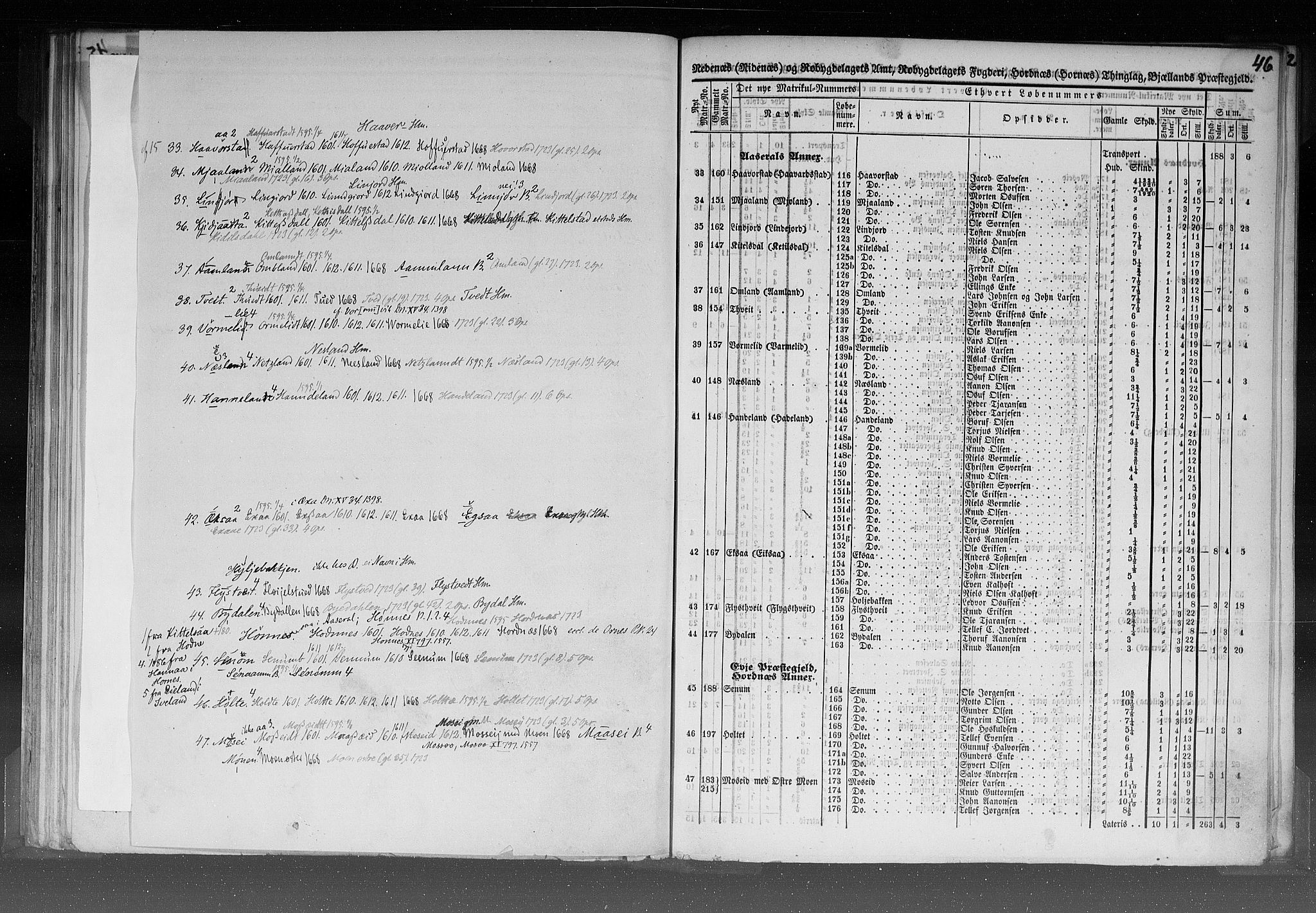 Rygh, AV/RA-PA-0034/F/Fb/L0008: Matrikkelen for 1838 - Nedenes amt (Aust-Agder fylke), 1838, s. 46a