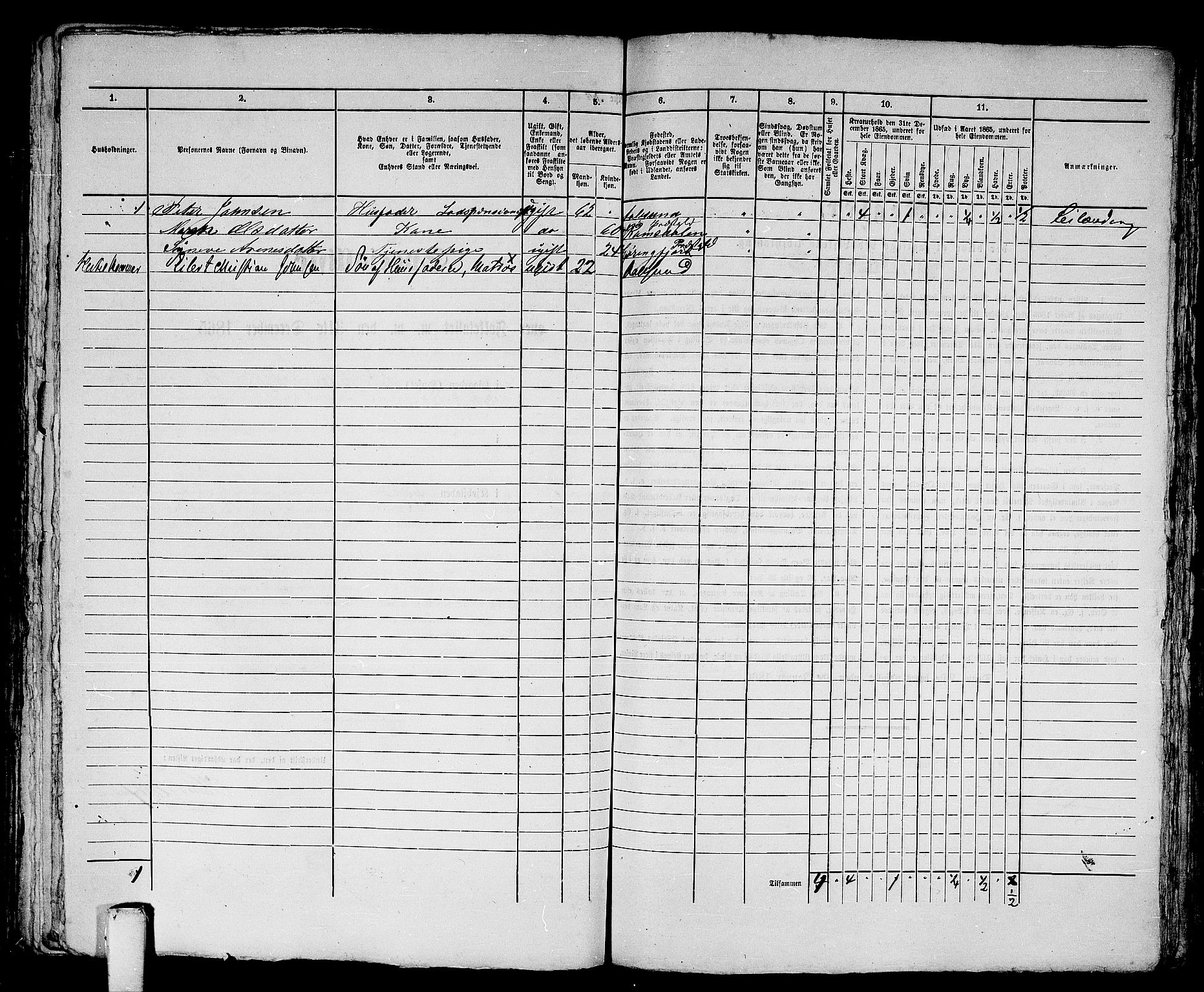 RA, Folketelling 1865 for 1501P Ålesund prestegjeld, 1865, s. 440